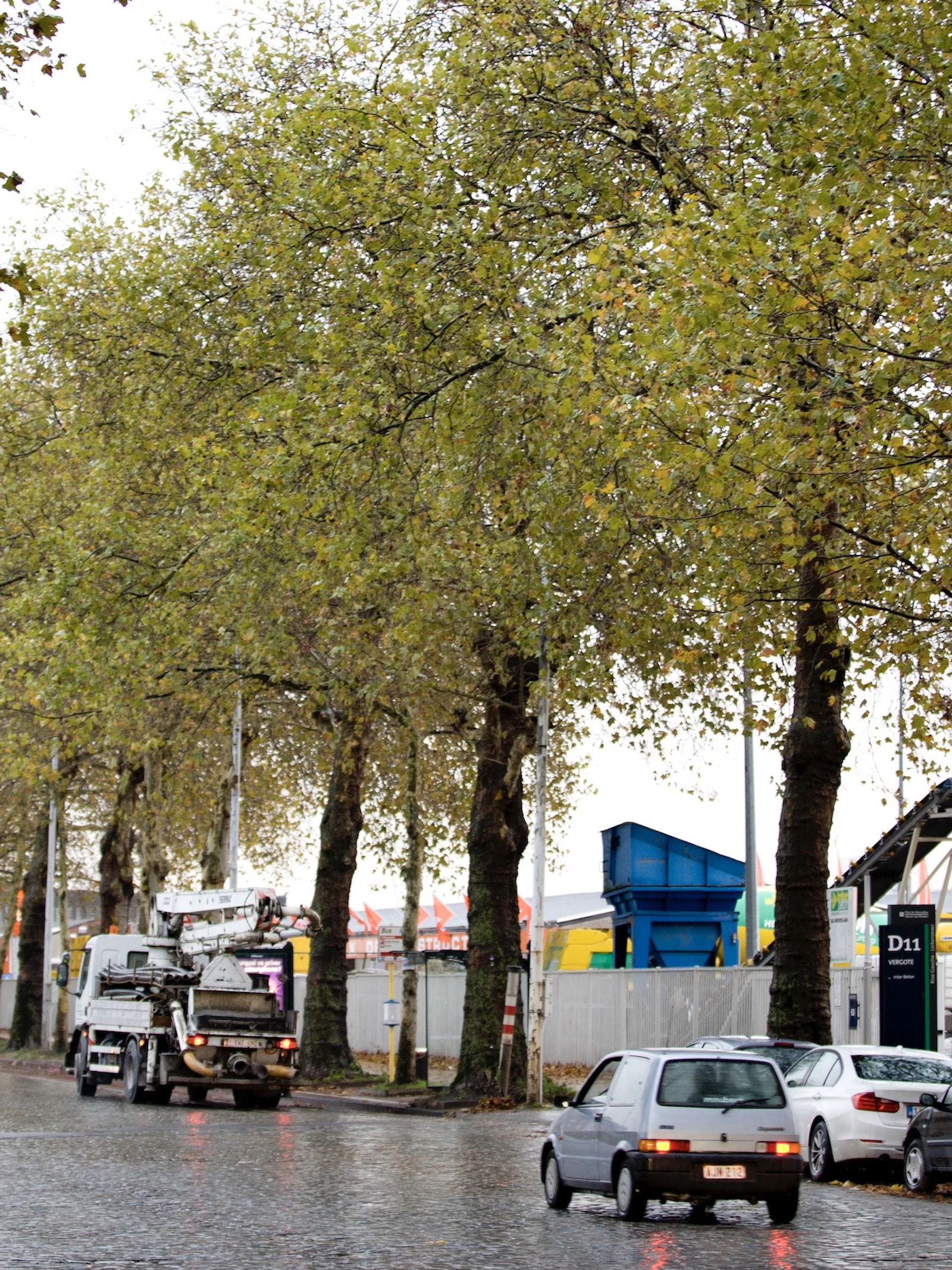 Oude, grote bomen brengen je tot rust (en jonge boompjes doen dat veel minder)