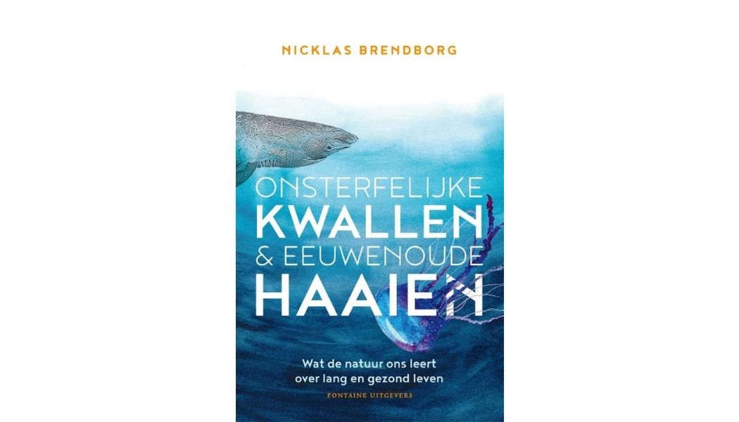 Liever een kwallenbestaan dan een luizenleventje