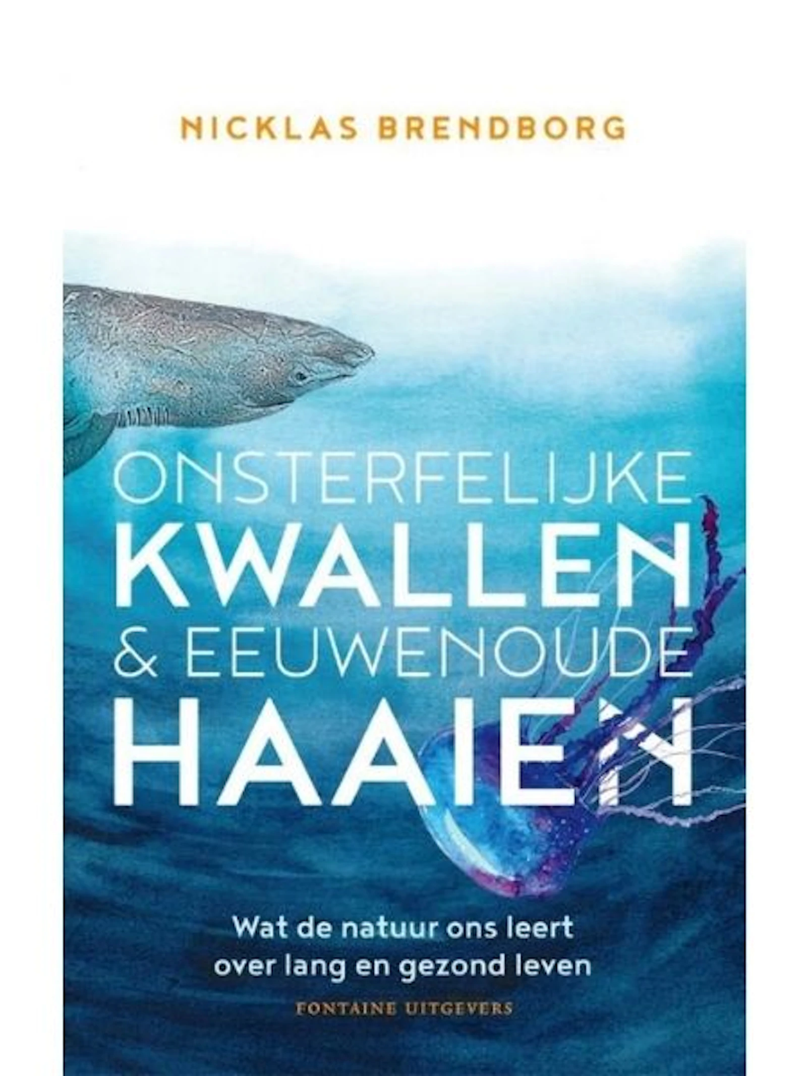 Liever een kwallenbestaan dan een luizenleventje
