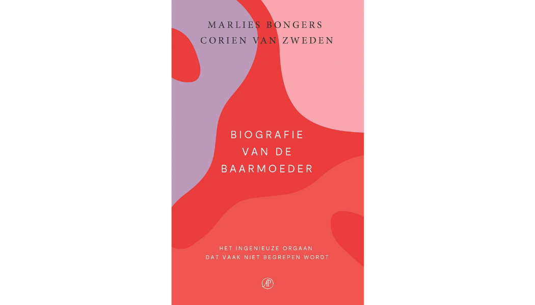 Baarmoeder in beeld