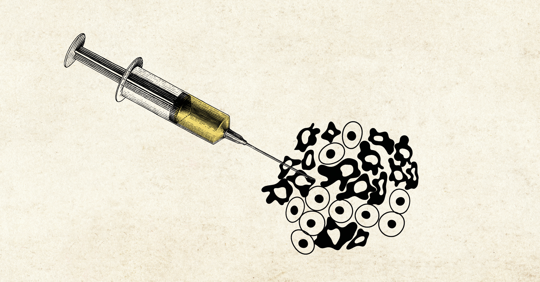 Power to the patient: hoe kankervaccins ons immuunsysteem bewapenen