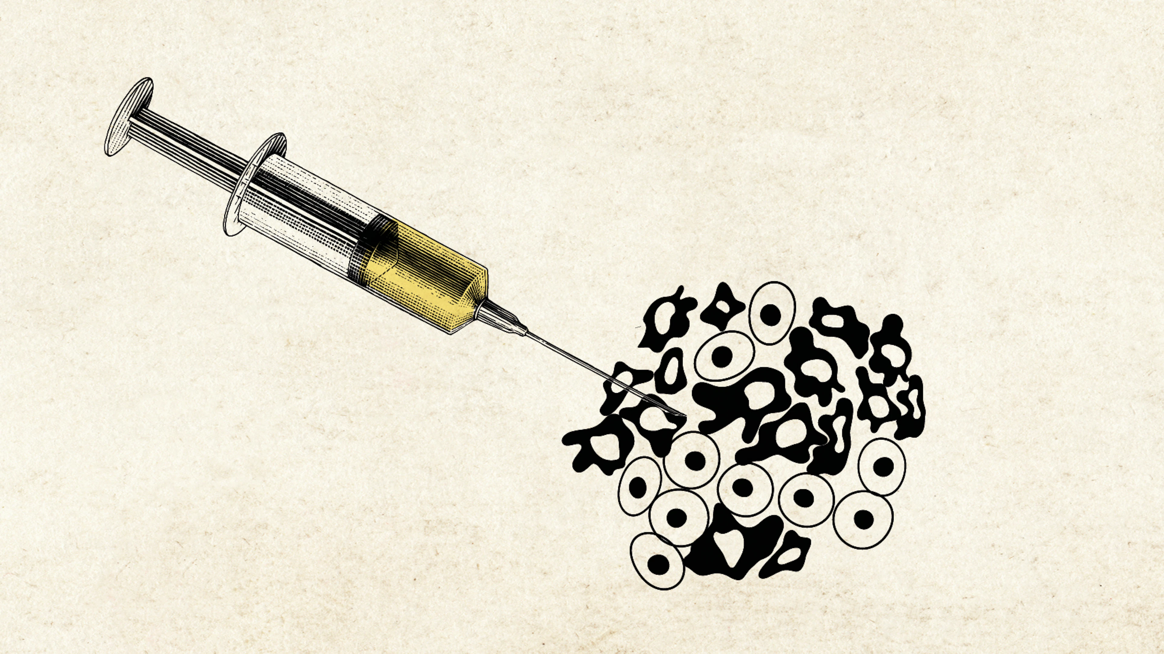 Power to the patient: hoe kankervaccins ons immuunsysteem bewapenen Power to the patient: hoe kankervaccins ons immuunsysteem bewapenen