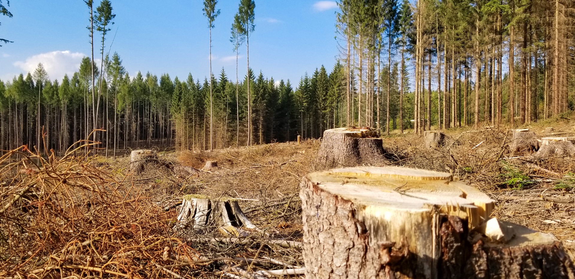 Earth Overshoot Day viel dit jaar op 28 juli. Hoe komt die datum tot stand?