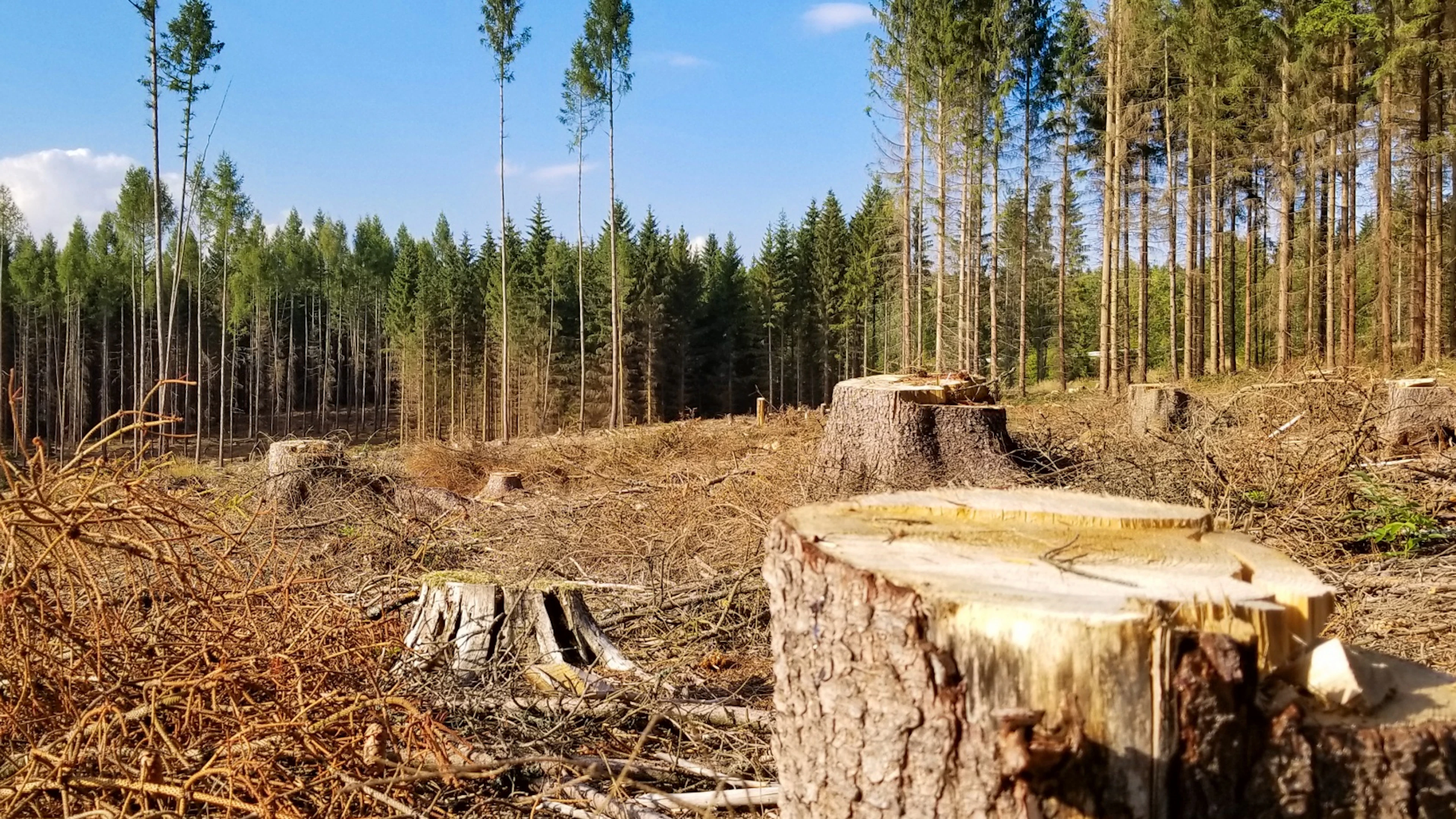 Earth Overshoot Day viel dit jaar op 28 juli. Hoe komt die datum tot stand?