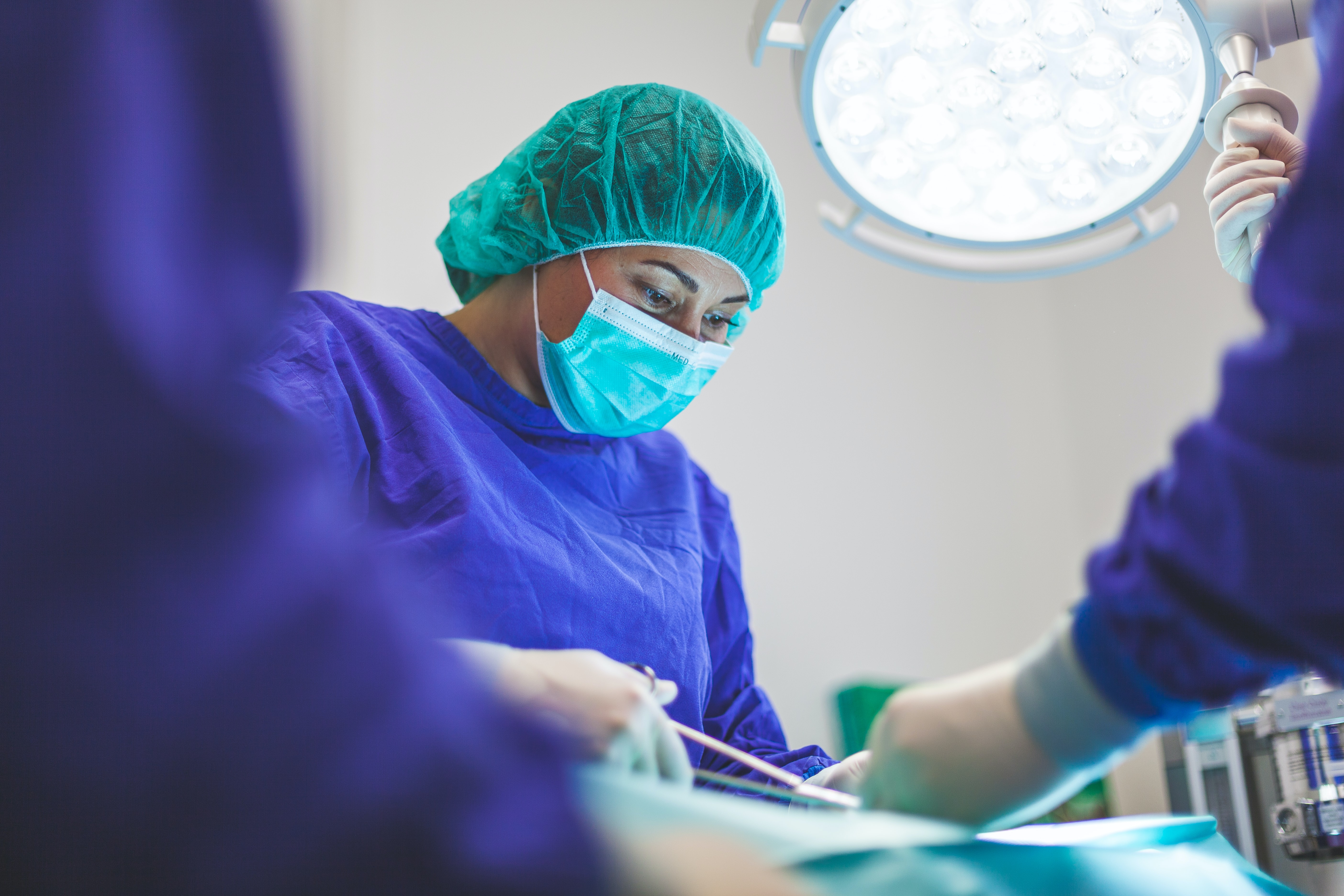 Dode varkens werden ‘tot leven gewekt’. Is dat goed nieuws voor orgaantransplantatie? En wat met de grens tussen leven en dood?