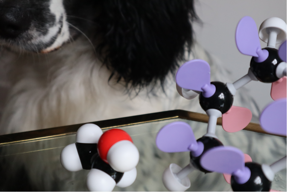Machine learning als moleculaire speurhond