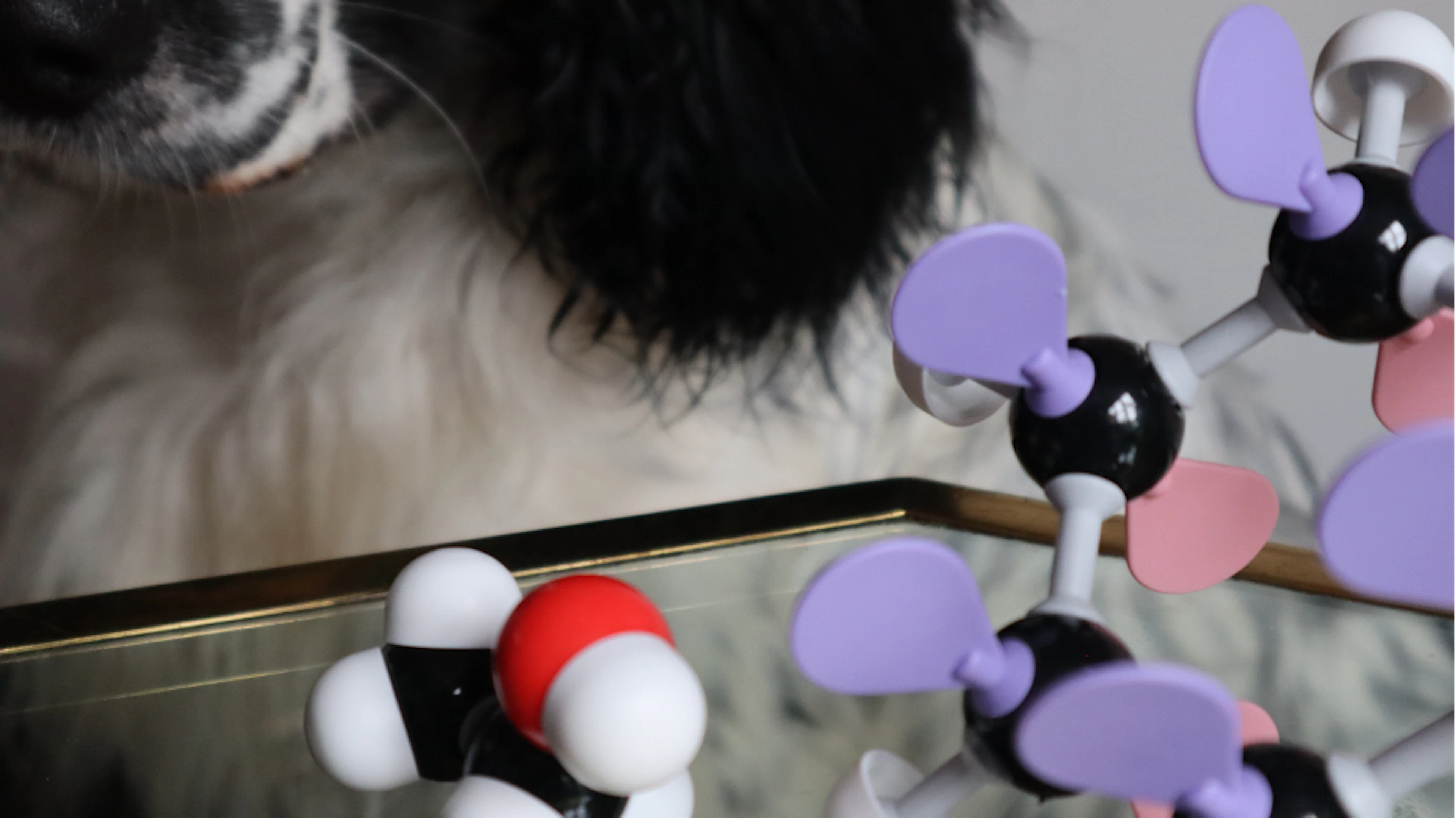 Machine learning als moleculaire speurhond