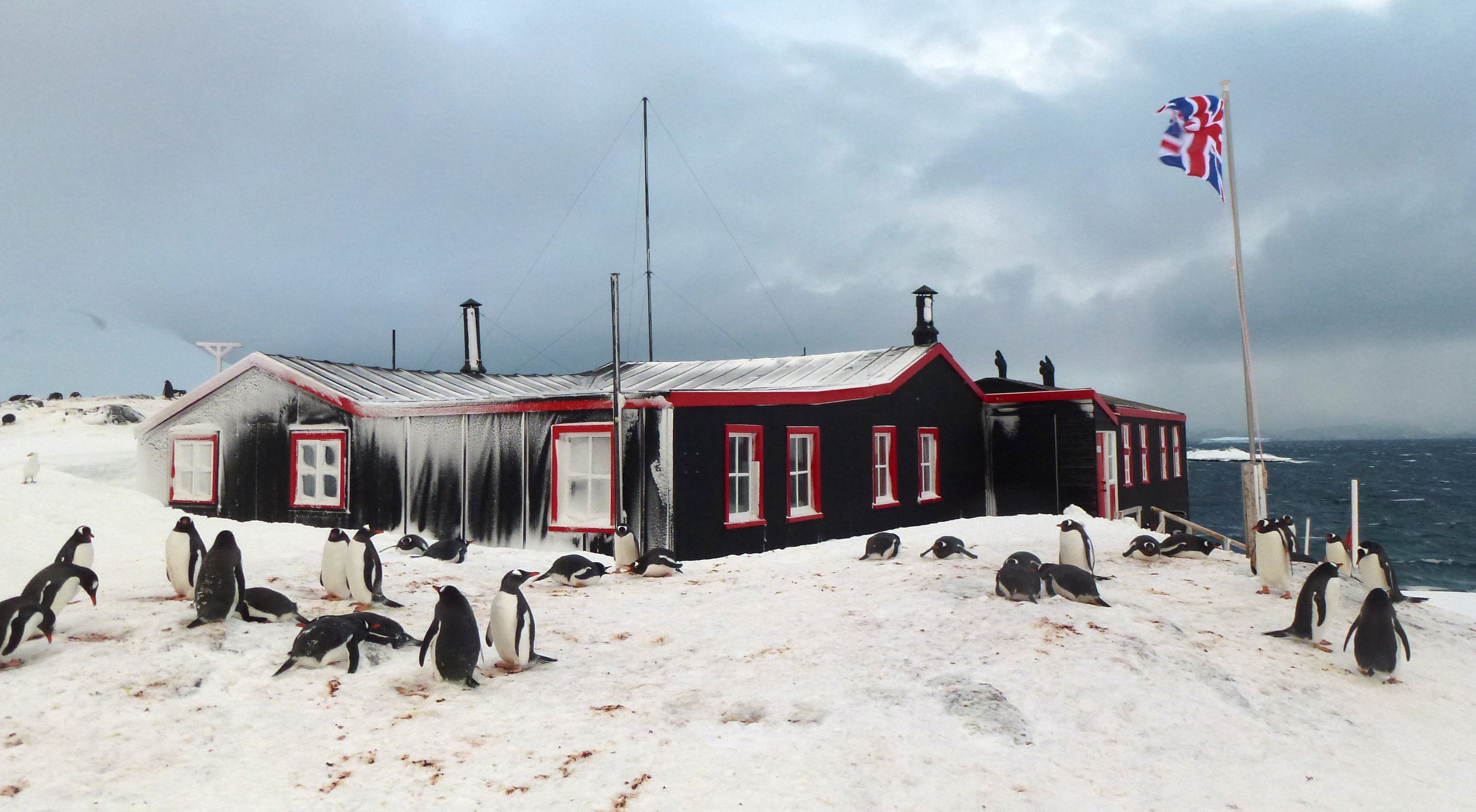 Het pinguïn-postkantoor gaat weer open