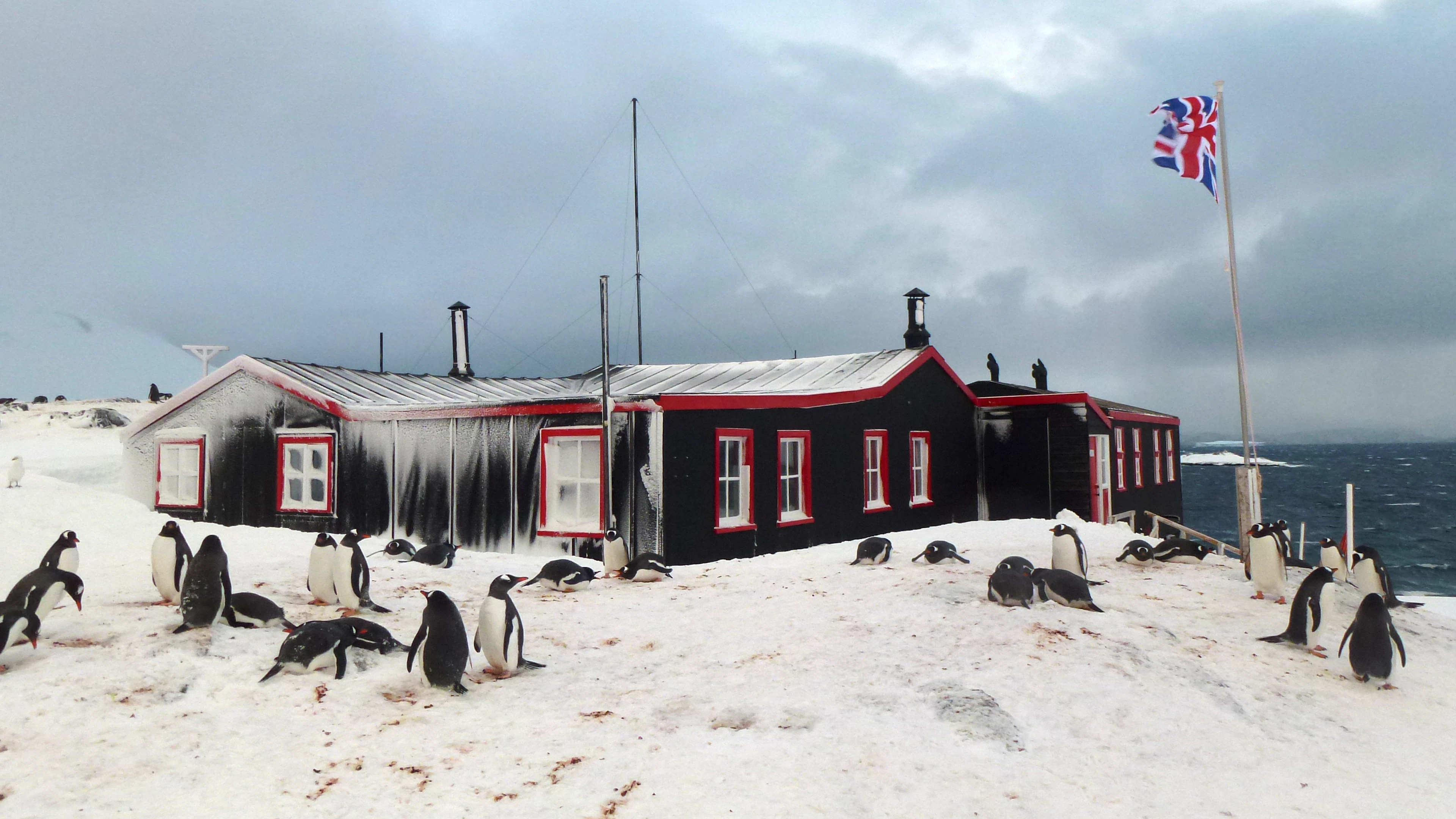 Het pinguïn-postkantoor gaat weer open