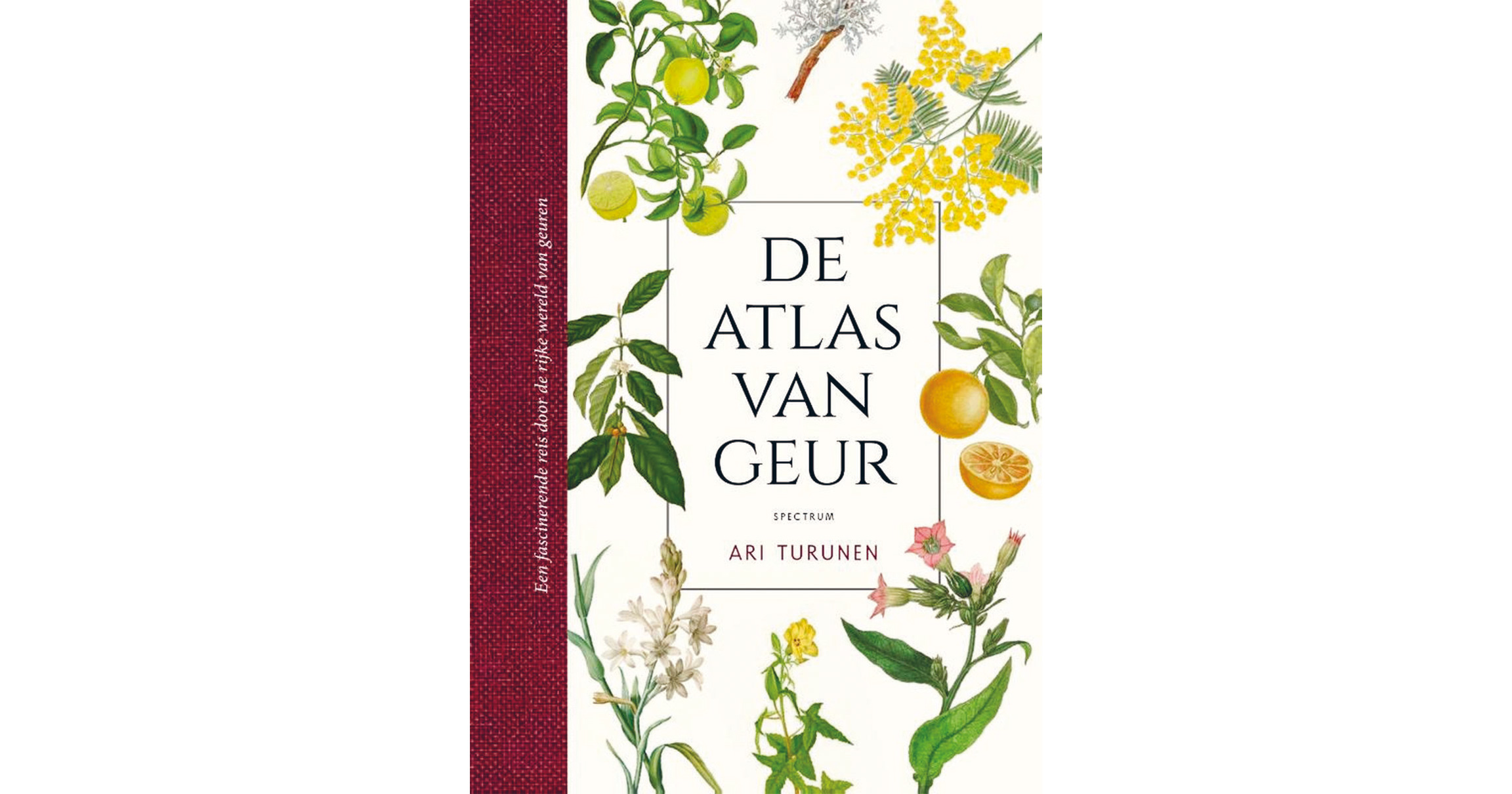 Ruik de wereld