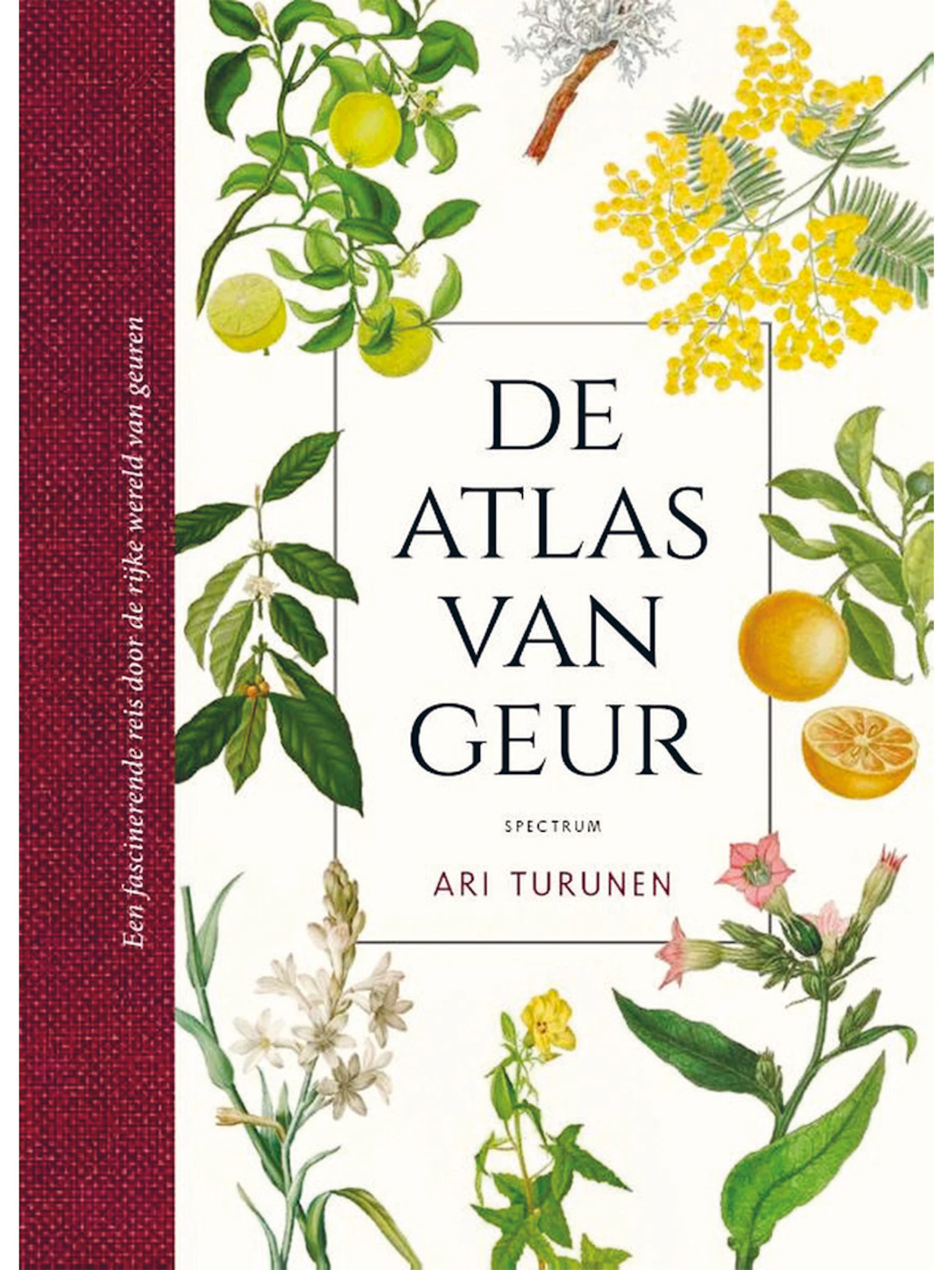 Ruik de wereld