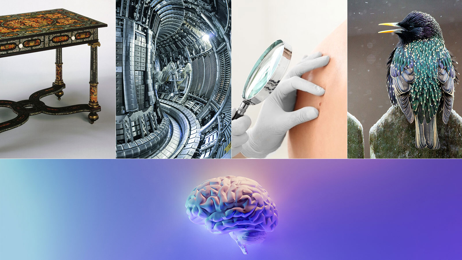 Wie verdient de Eos-scriptieprijs 2023? Stem mee!