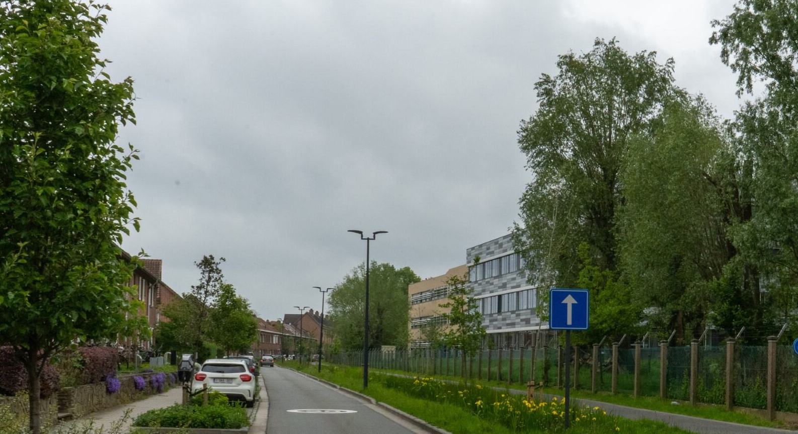 Het belang van bomen in een grootstad