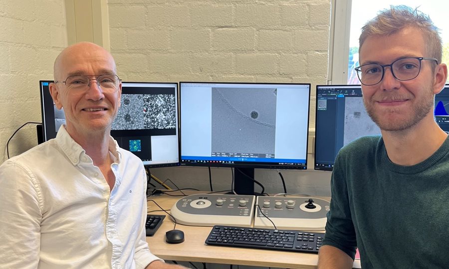 Biologische processen voor het eerst live en gedetailleerd in beeld