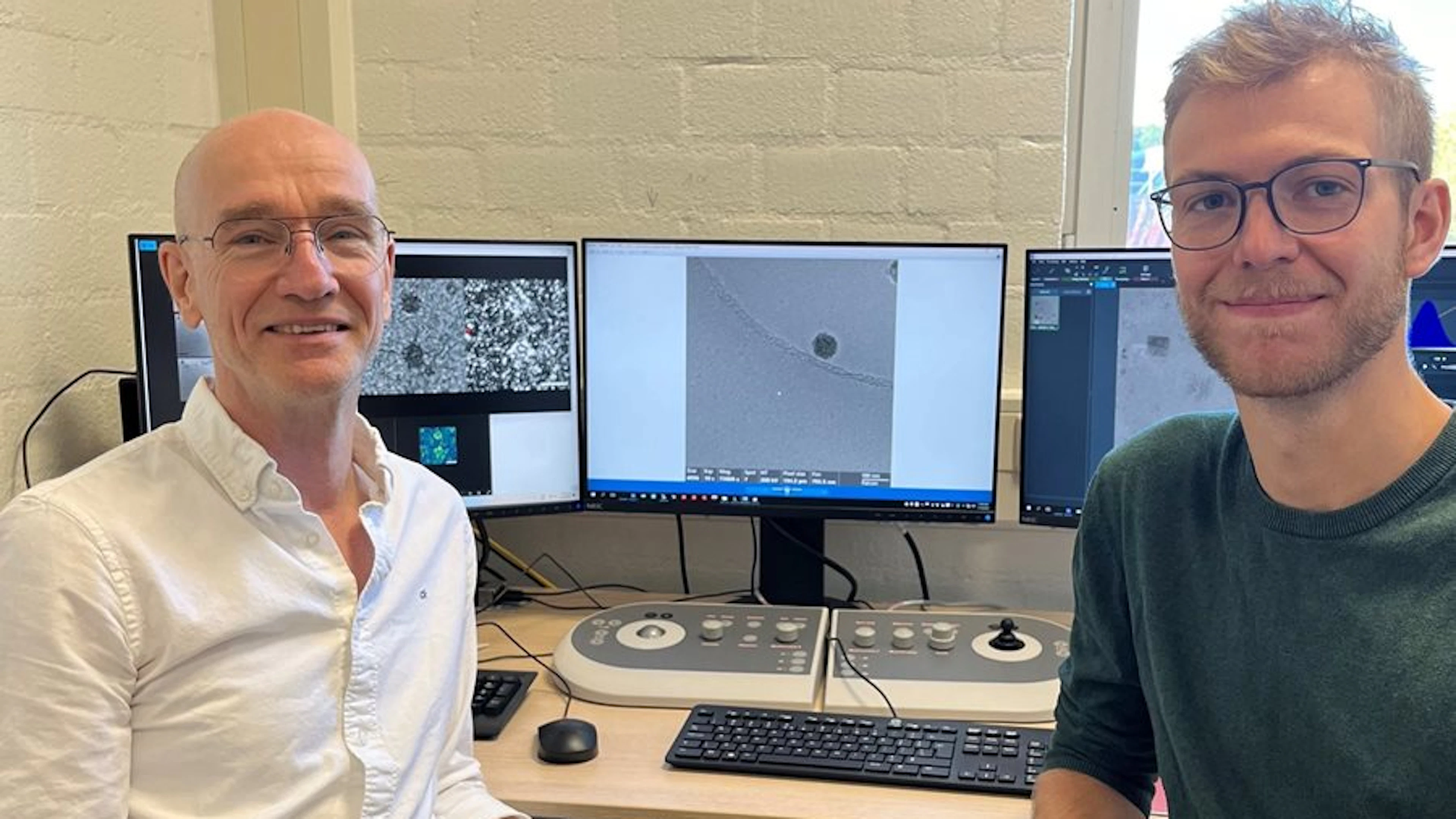 Biologische processen voor het eerst live en gedetailleerd in beeld