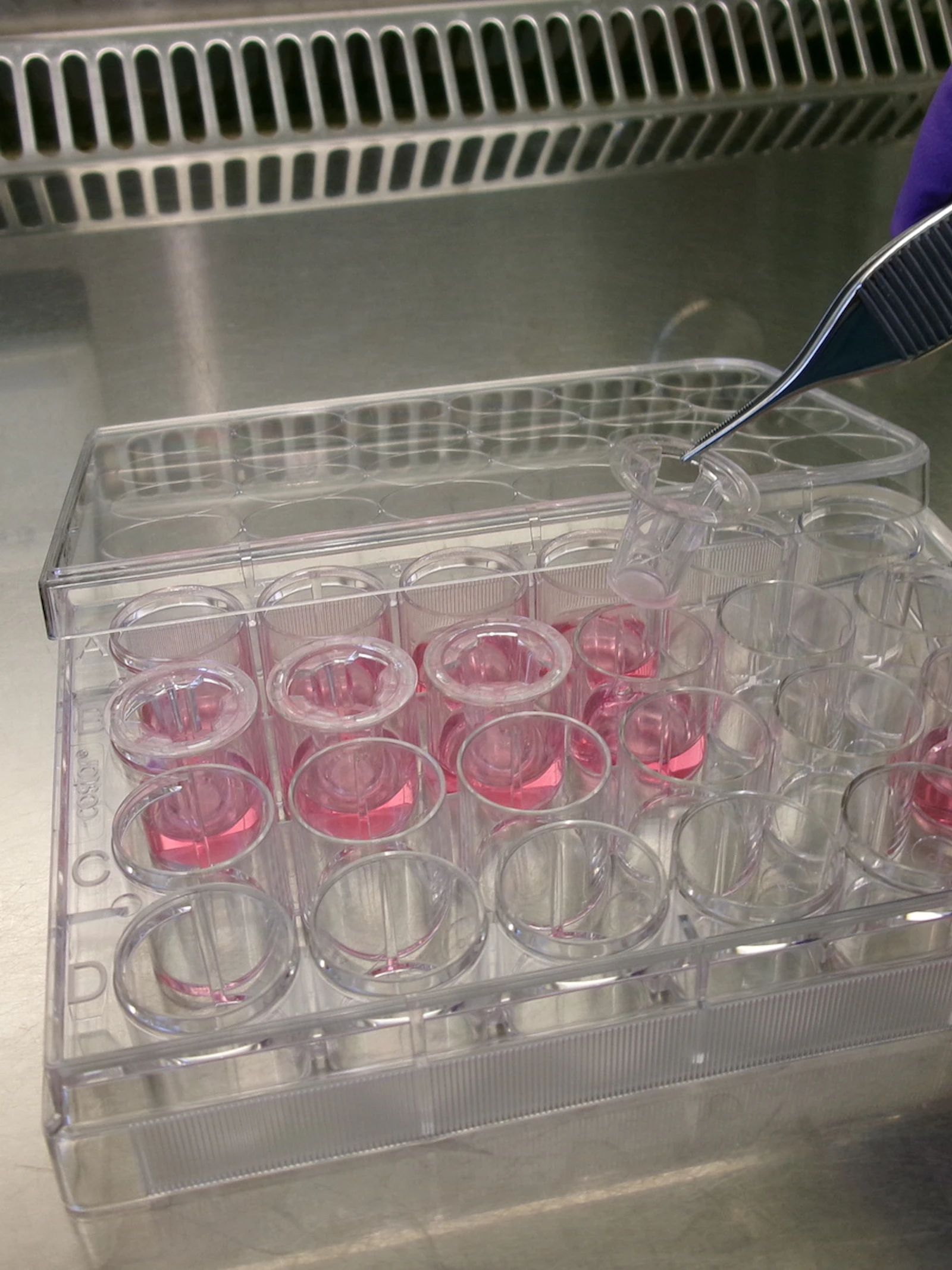 Jouw longen in het lab in de strijd tegen virussen