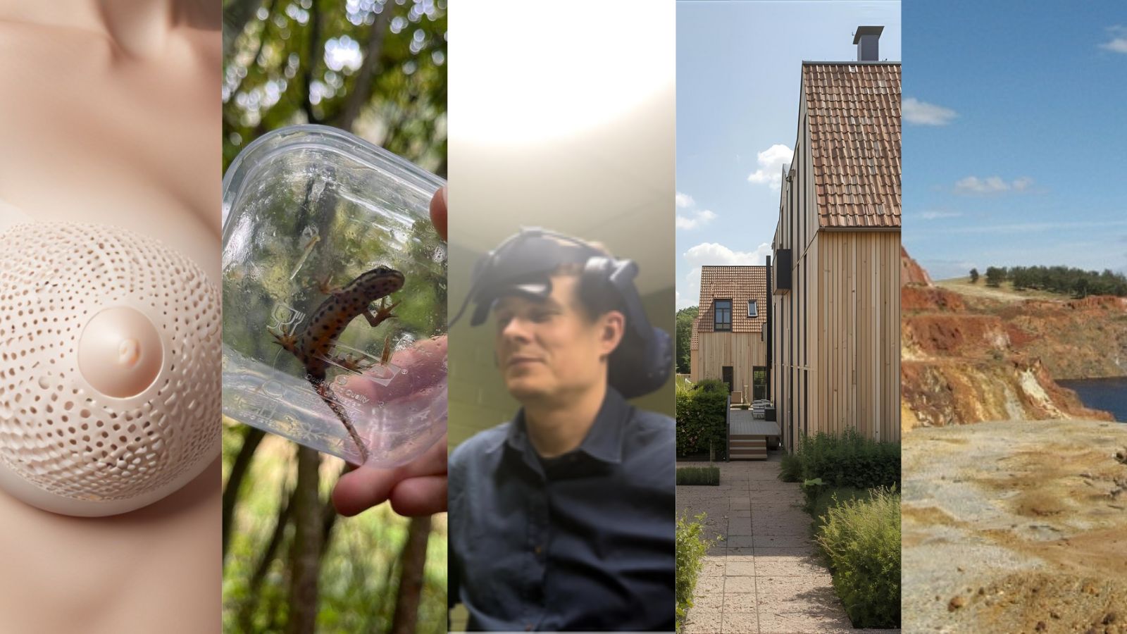 Wie verdient de Eos-scriptieprijs 2025? Stem mee!