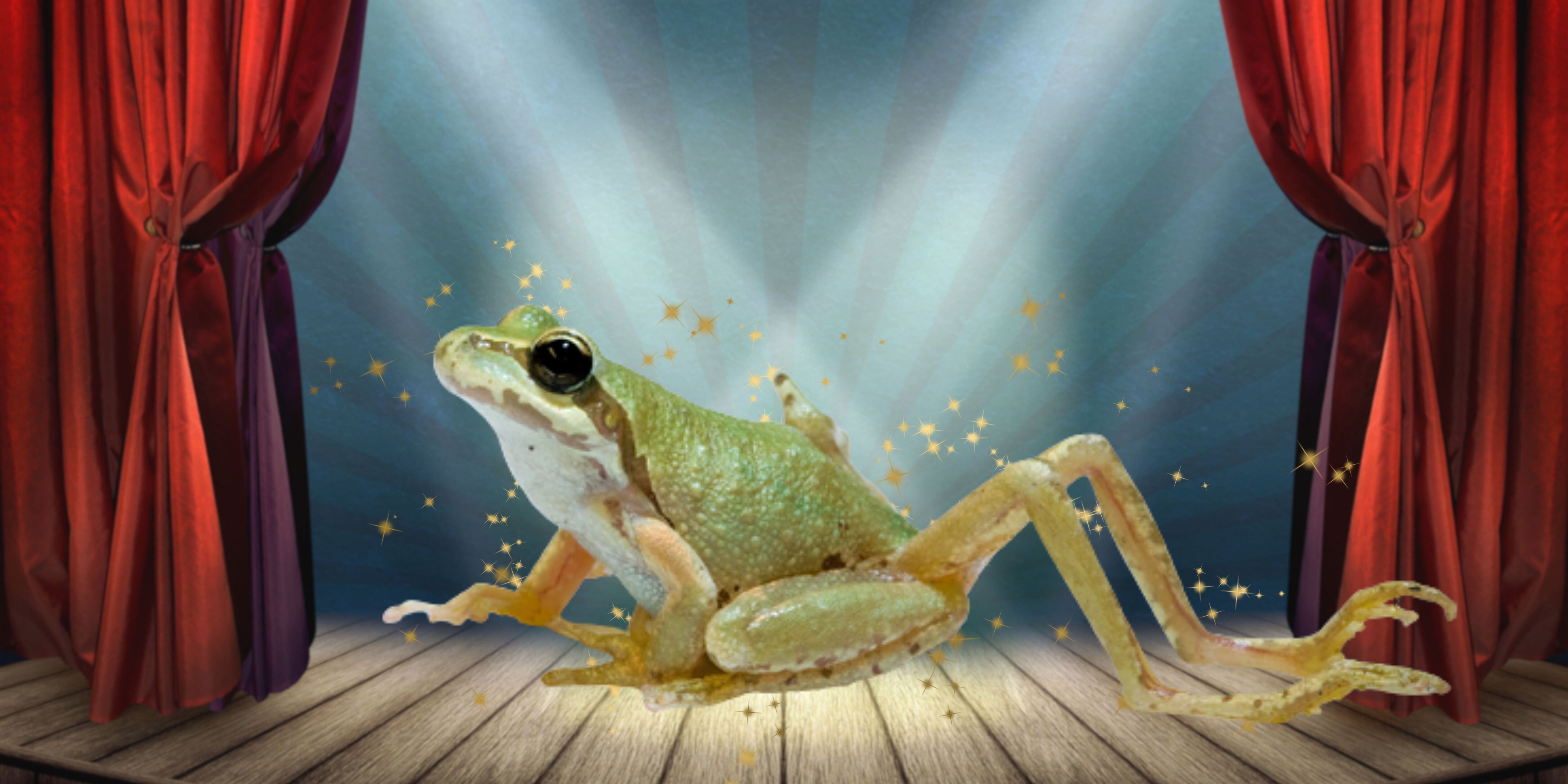 Deze kleine wezens geven kikkers zes poten en slakken knipperende ogen