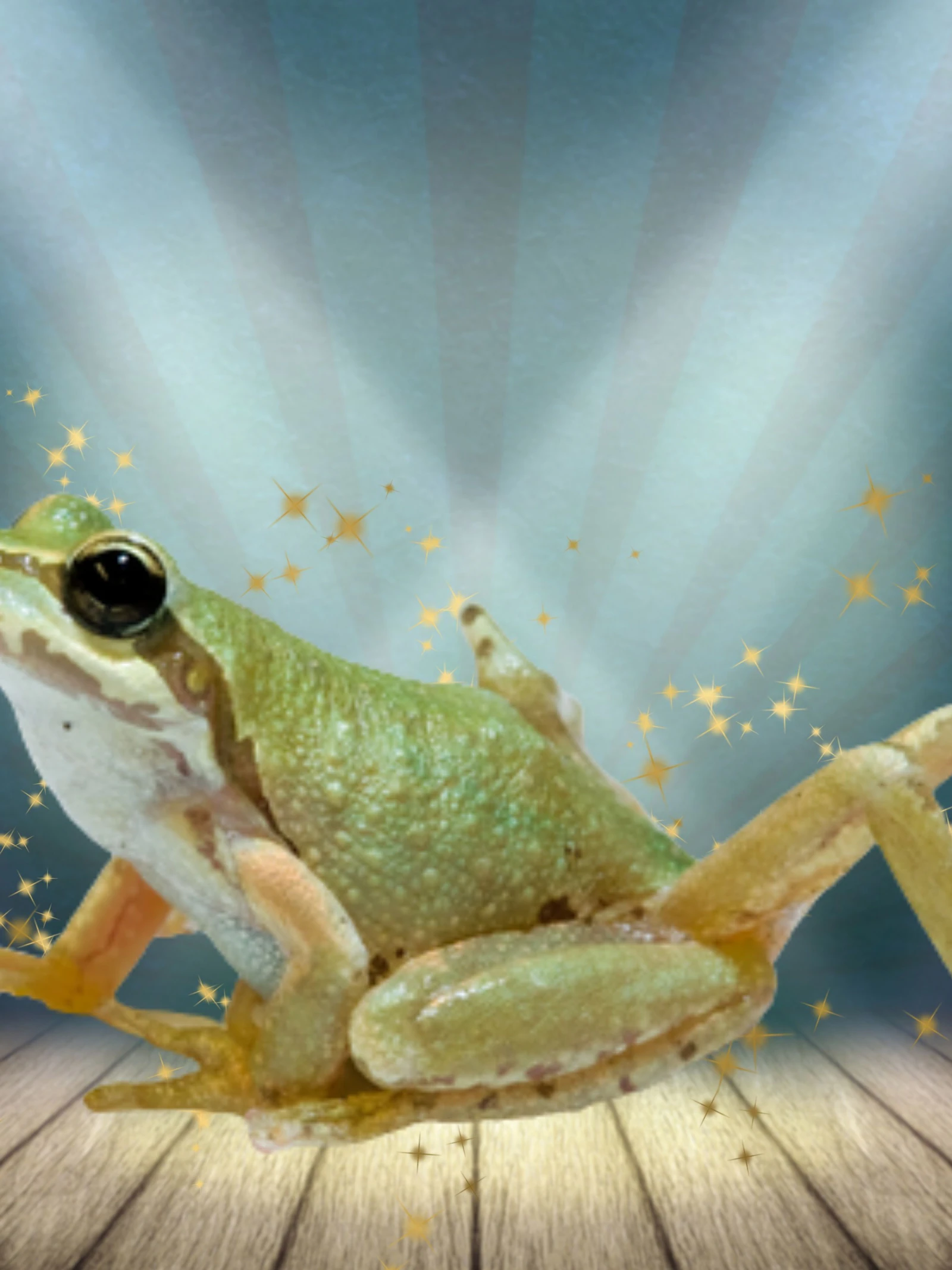 Deze kleine wezens geven kikkers zes poten en slakken knipperende ogen