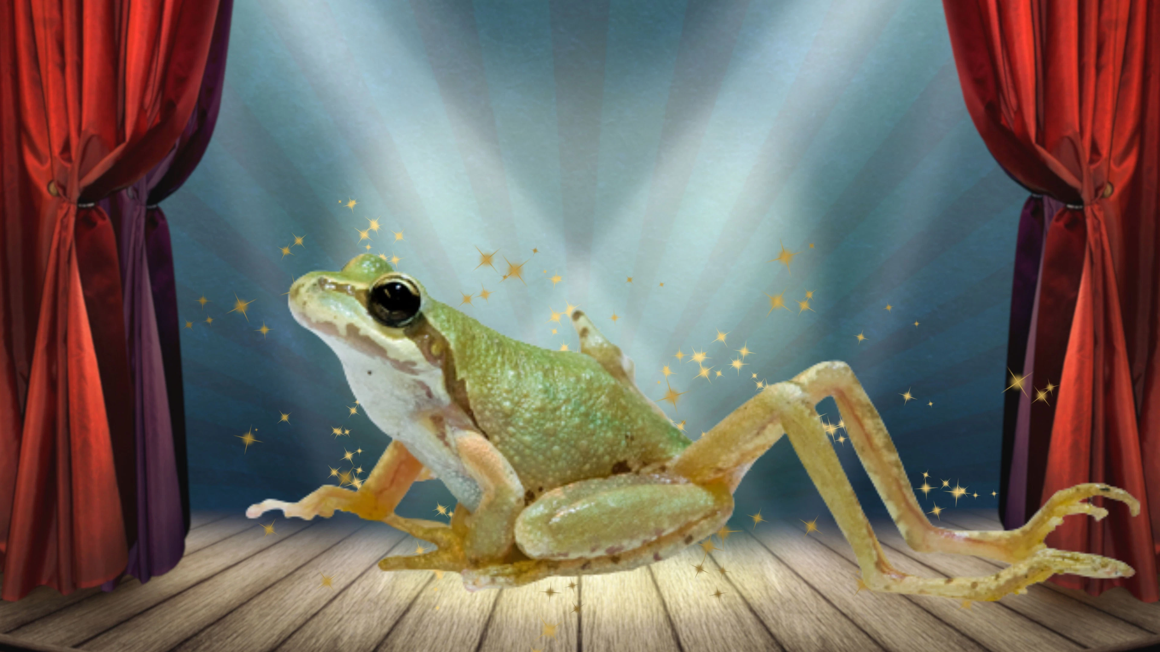 Deze kleine wezens geven kikkers zes poten en slakken knipperende ogen
