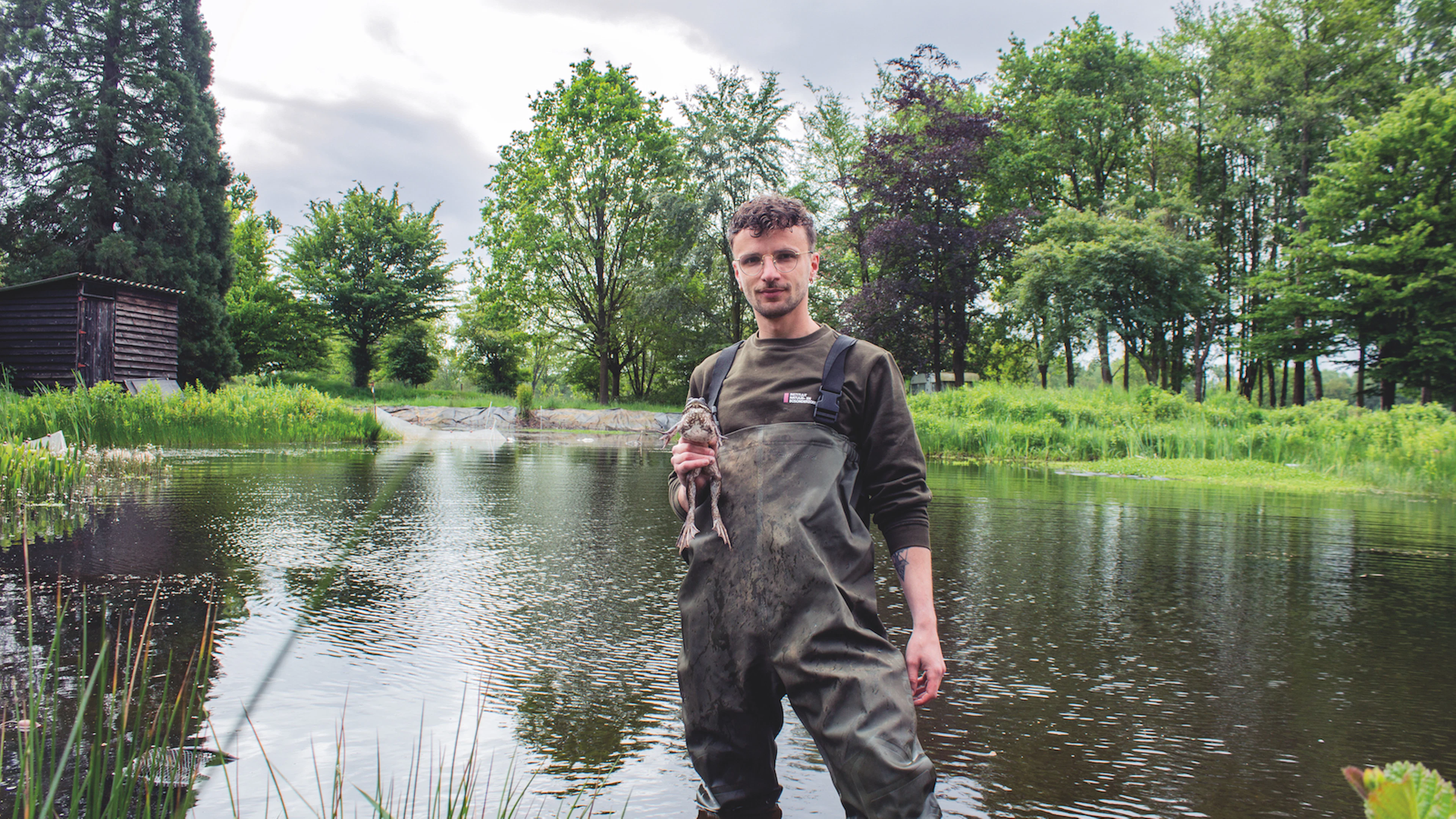 Teun Everts gebruikt DNA-onderzoek om bestrijding van exotische kikker naar hoger niveau te tillen