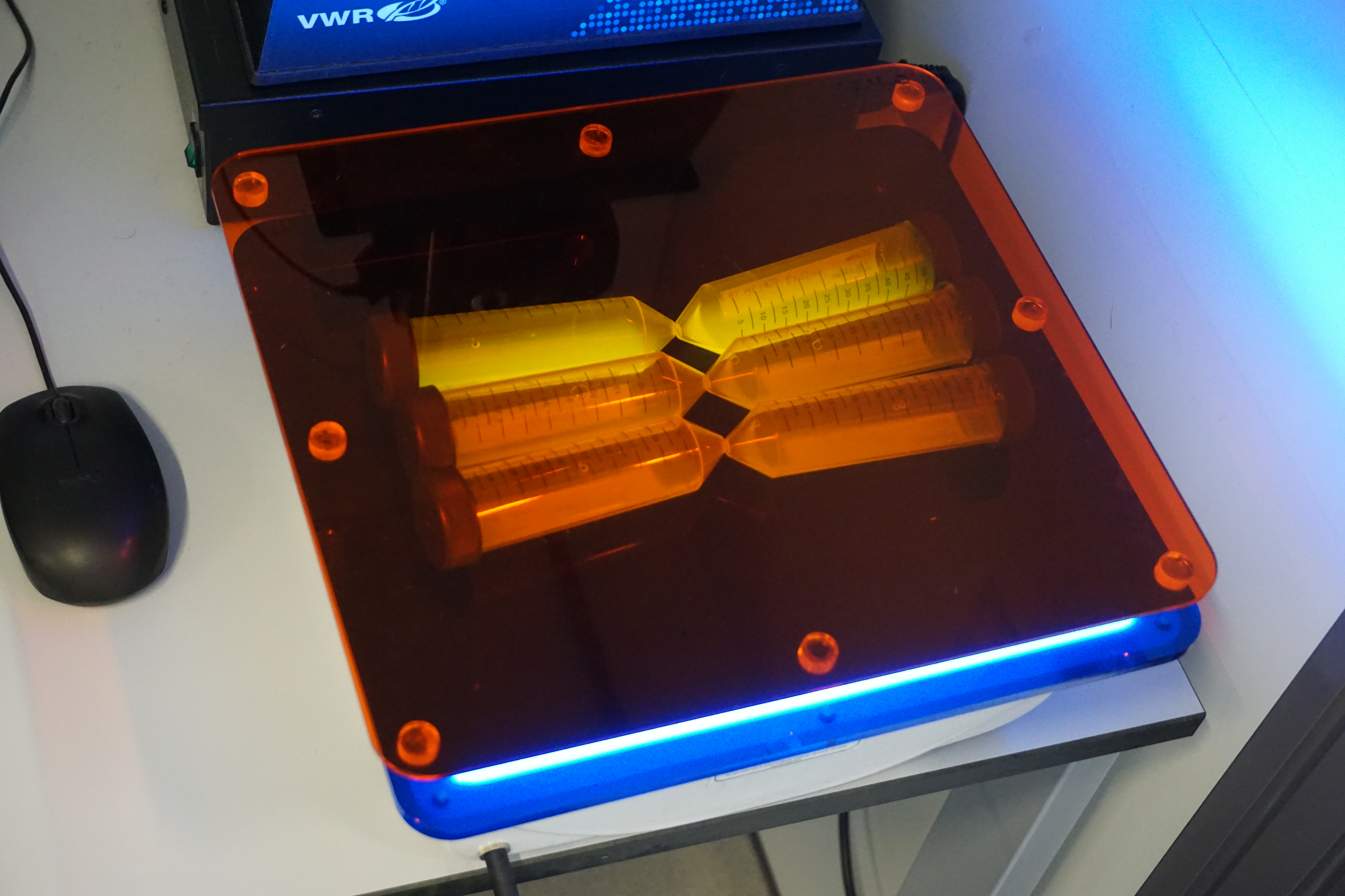 DNA in alle kleuren