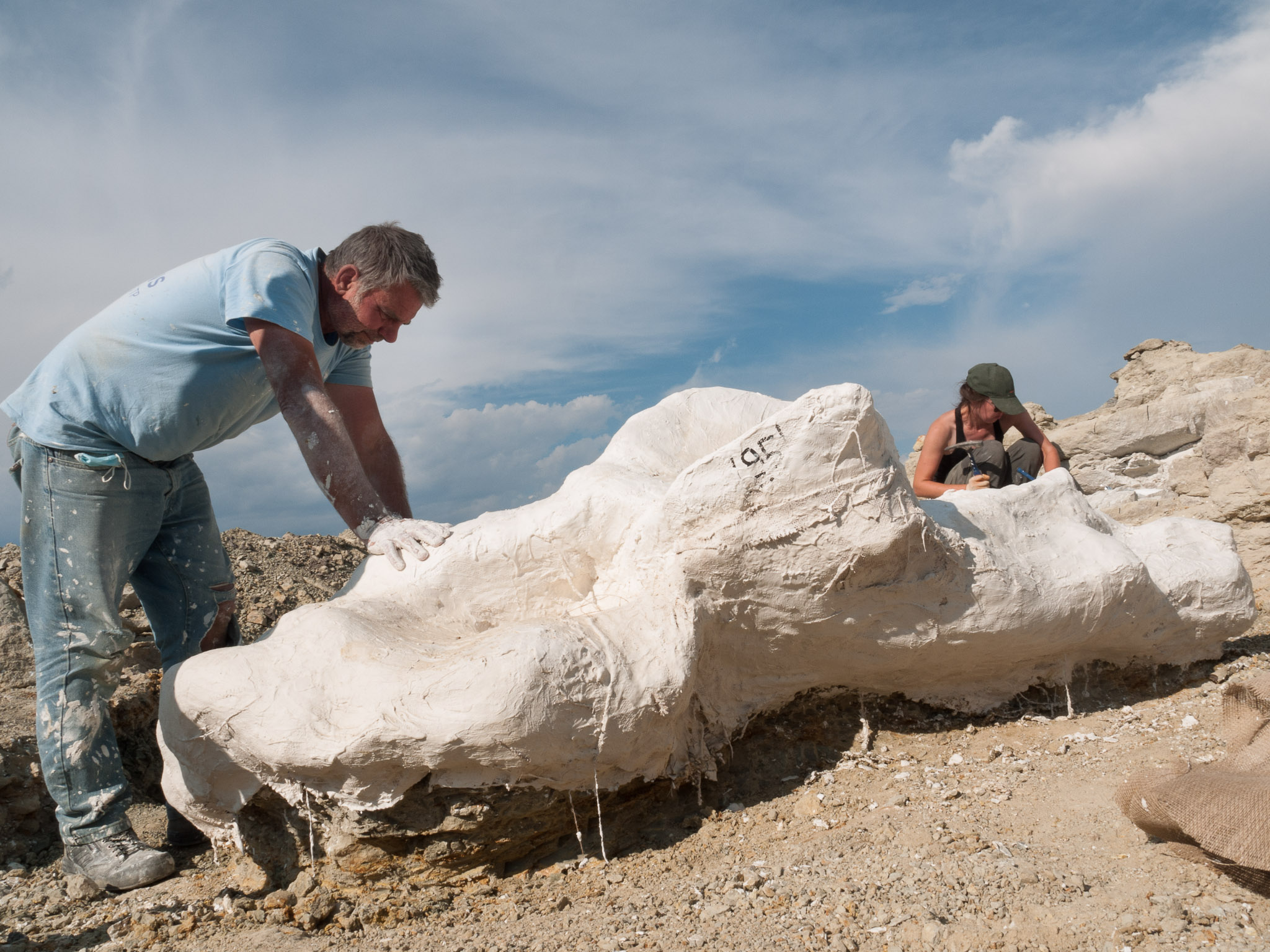 Dinojagen in Wyoming: oog in oog met 'Camarasaurus' Morris