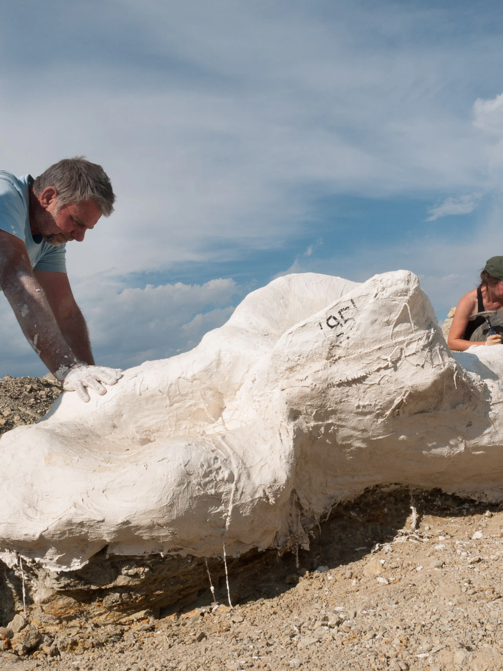 Dinojagen in Wyoming: oog in oog met 'Camarasaurus' Morris