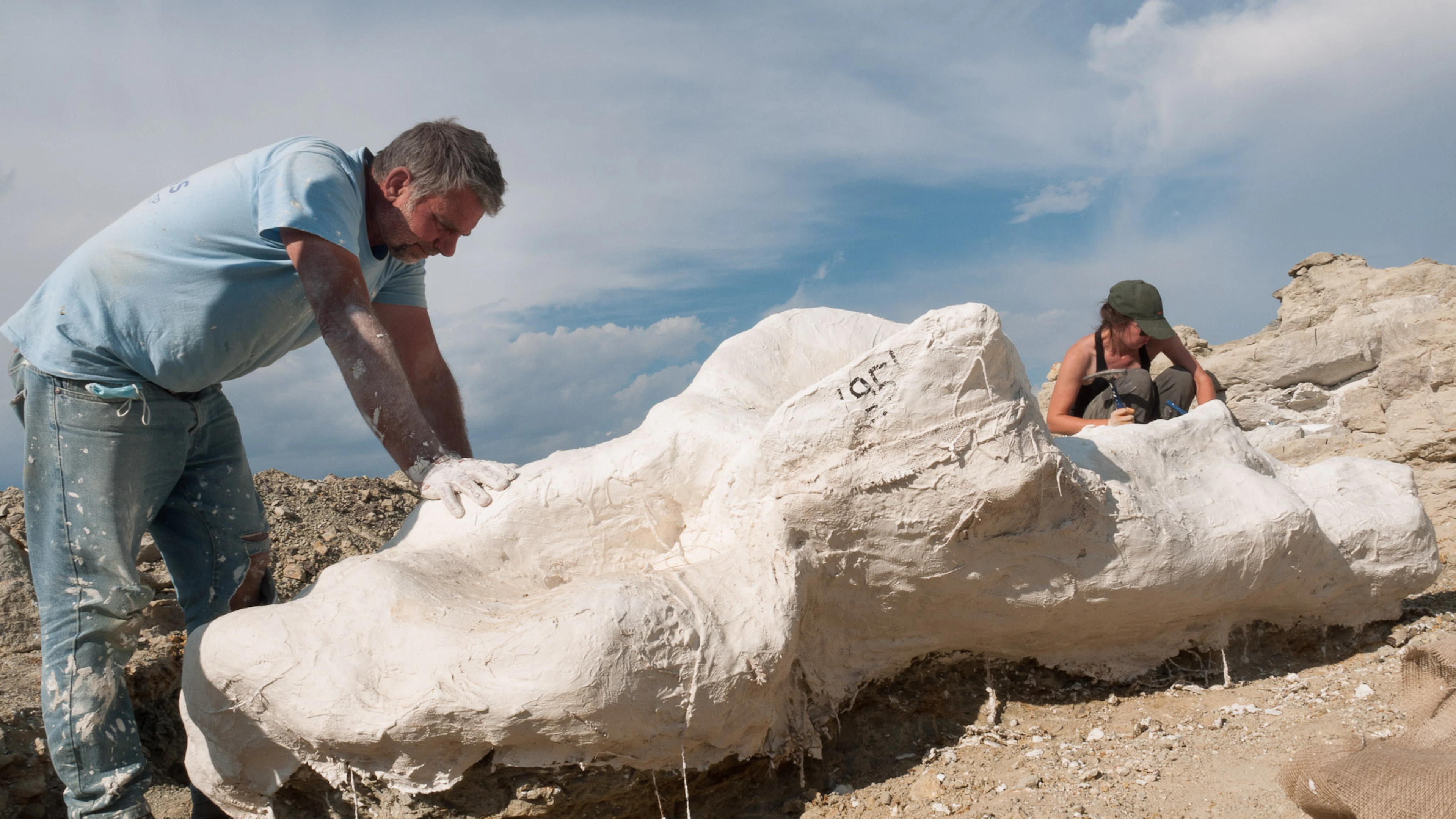 Dinojagen in Wyoming: oog in oog met 'Camarasaurus' Morris
