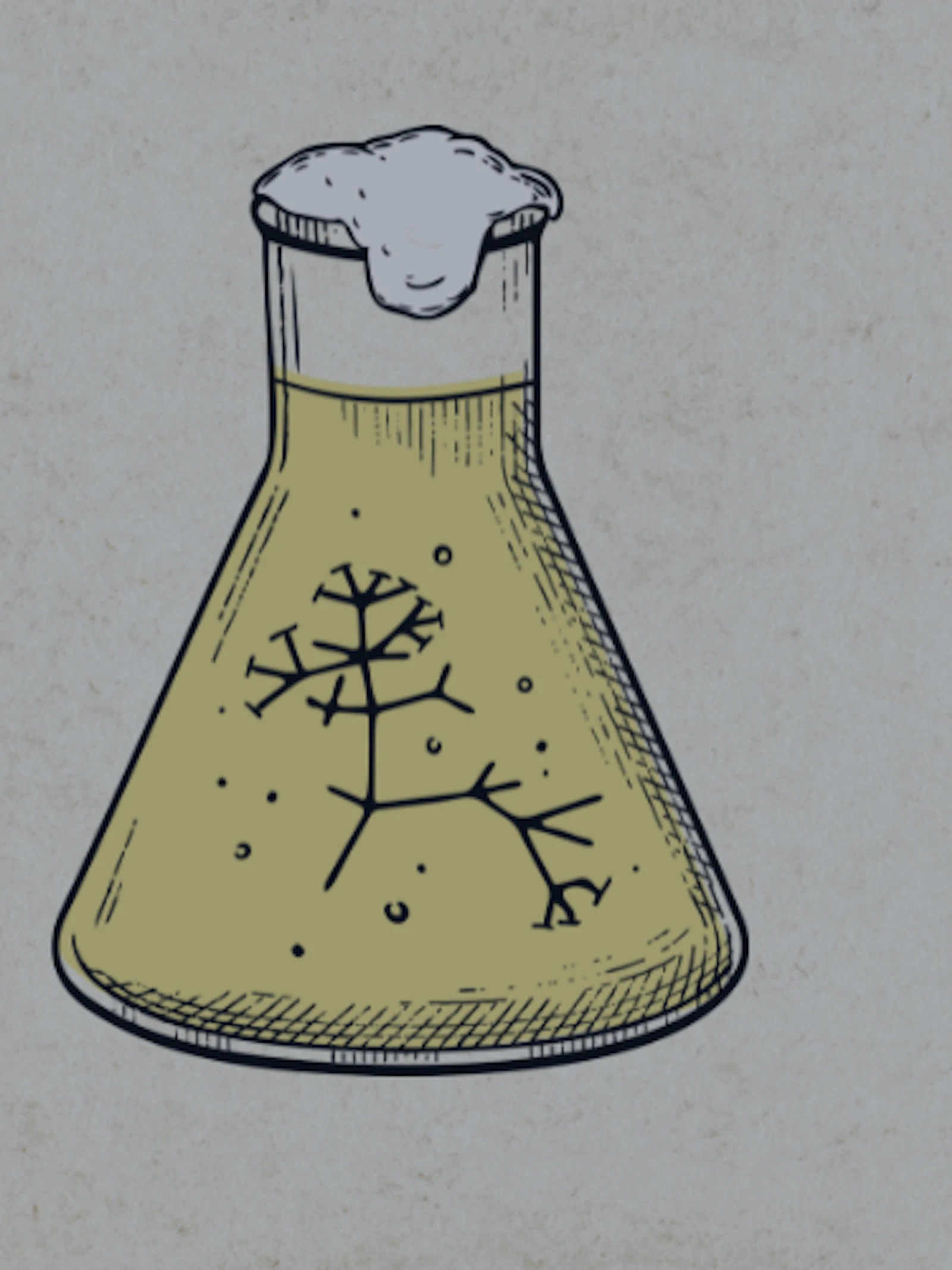 Creatief met gist: Van baanbrekend genetisch onderzoek tot superbieren en duurzamere bioplastics. Creatief met gist: Van baanbrekend genetisch onderzoek tot superbieren en duurzamere bioplastics.