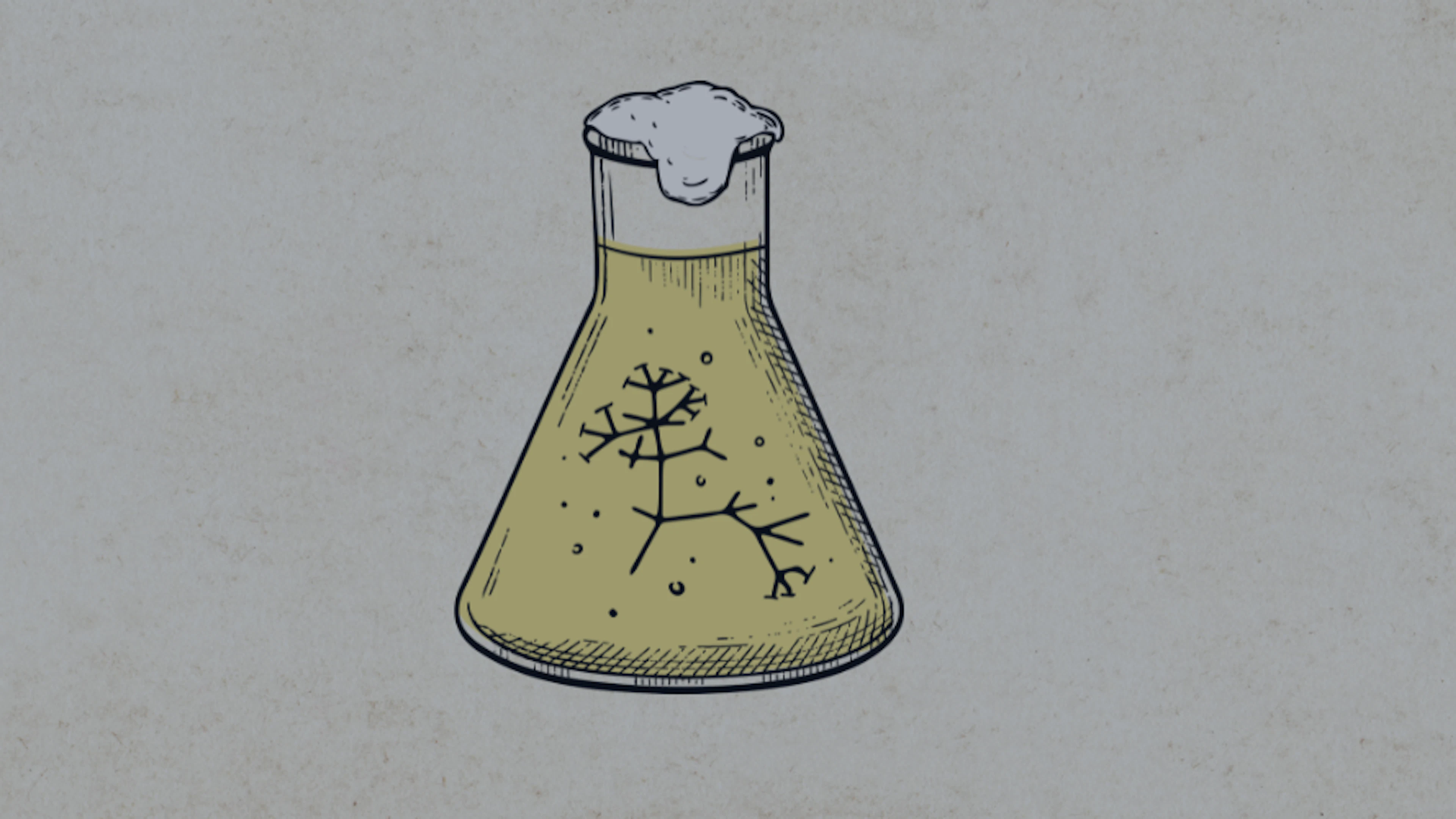 Creatief met gist: Van baanbrekend genetisch onderzoek tot superbieren en duurzamere bioplastics. Creatief met gist: Van baanbrekend genetisch onderzoek tot superbieren en duurzamere bioplastics.