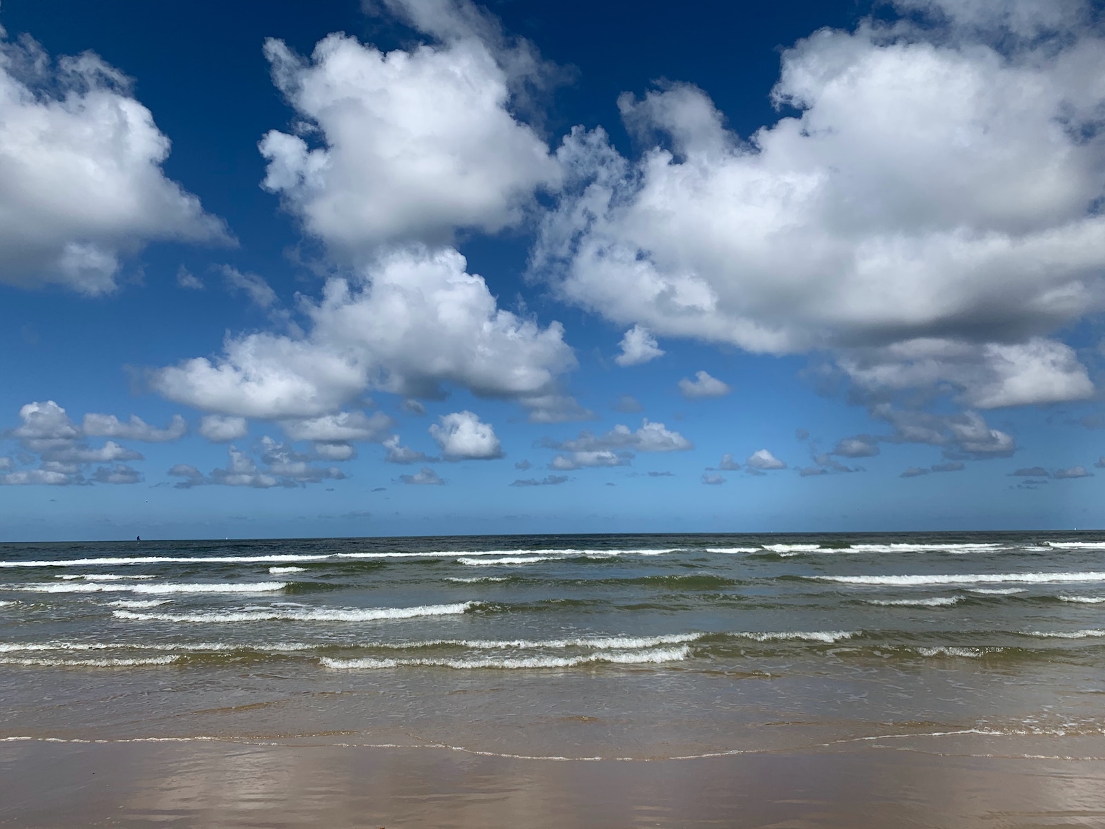 Waarom is de Noordzee bruin?