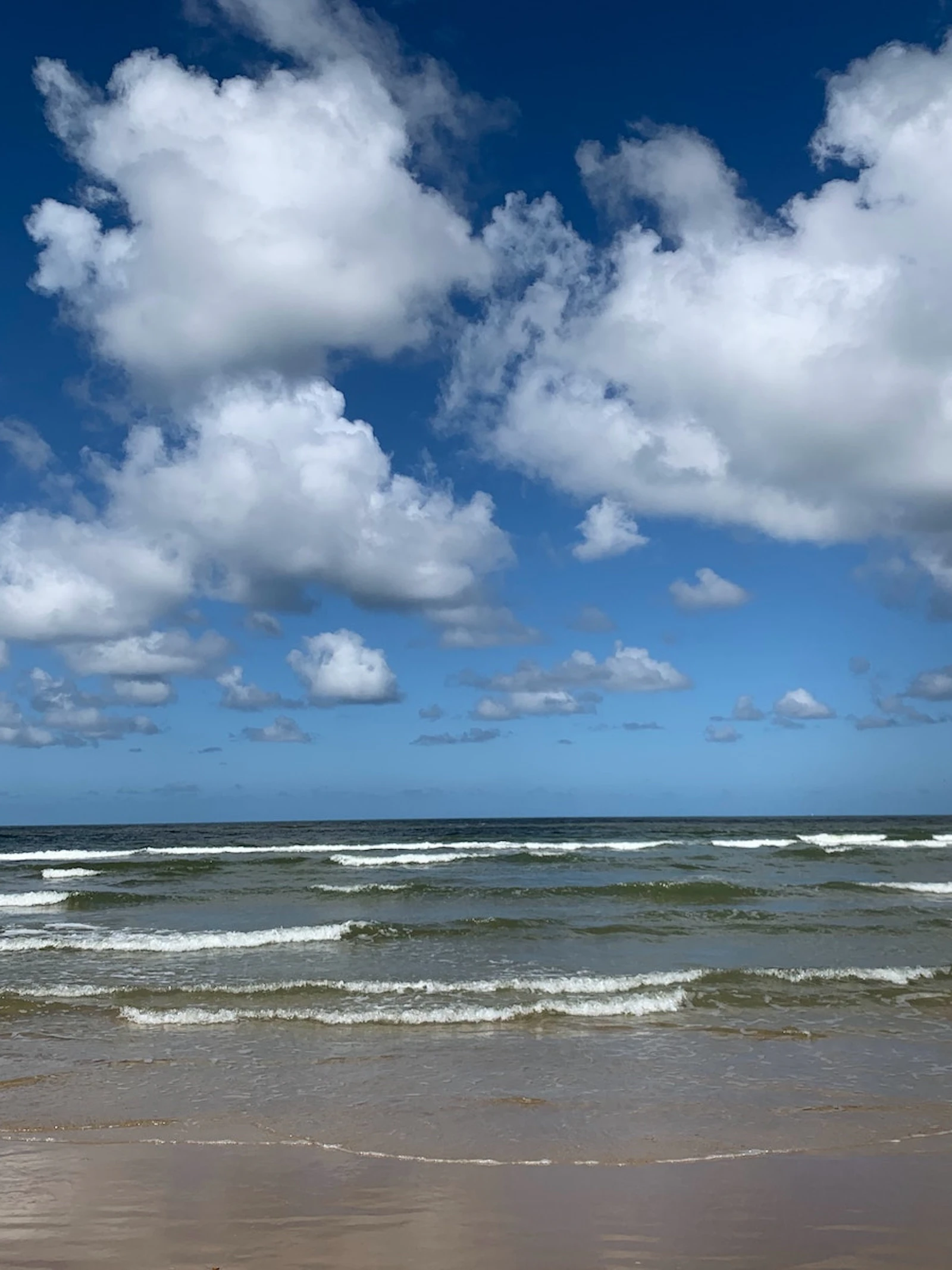 Waarom is de Noordzee bruin?