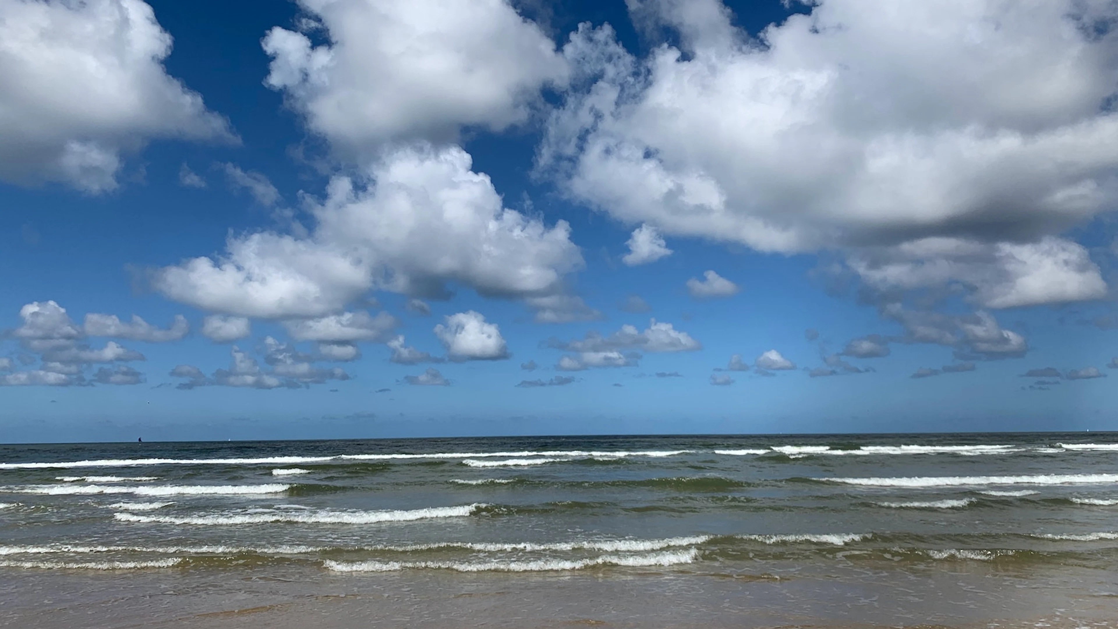 Waarom is de Noordzee bruin?