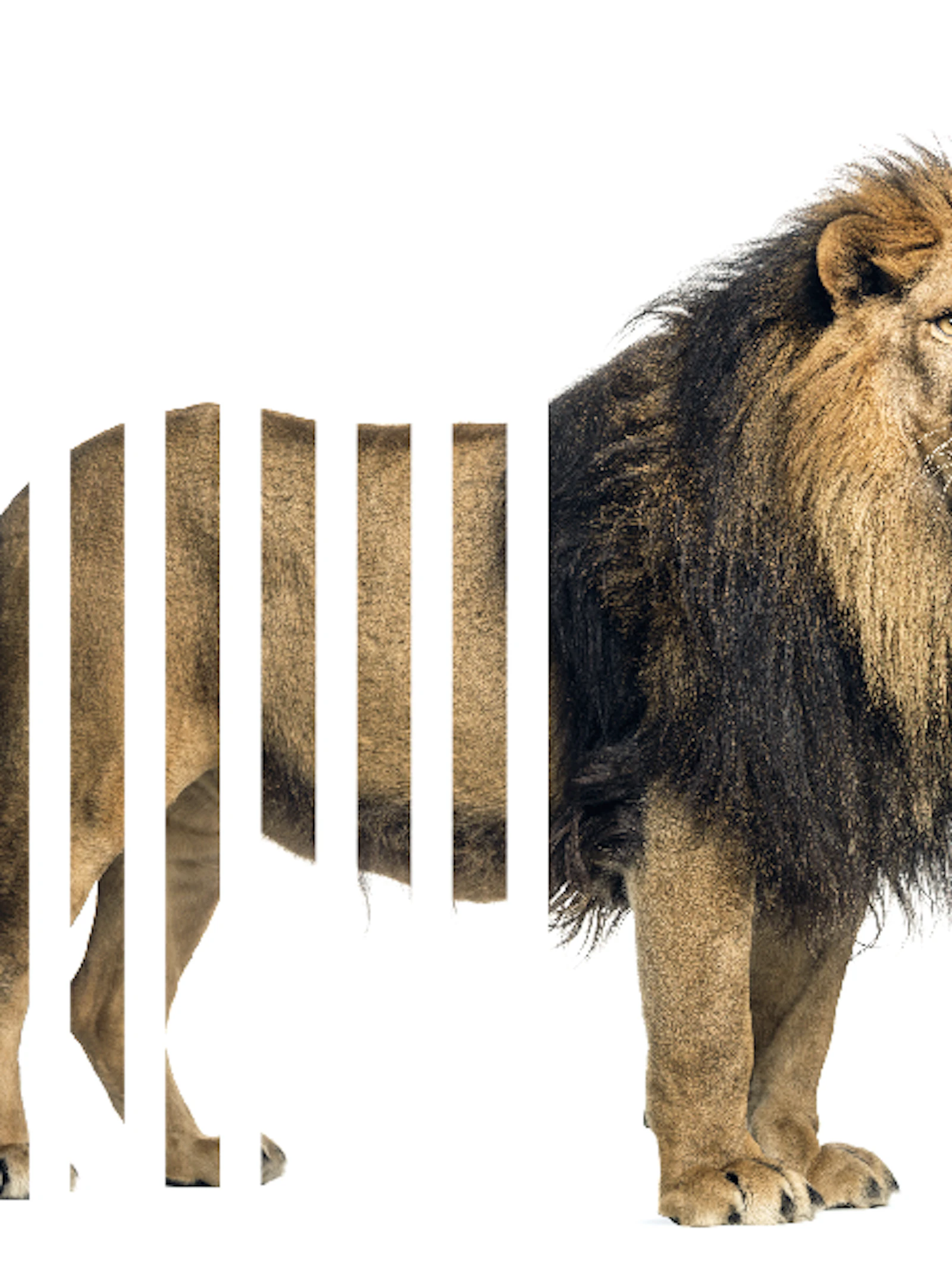 Moet de zoo dicht?