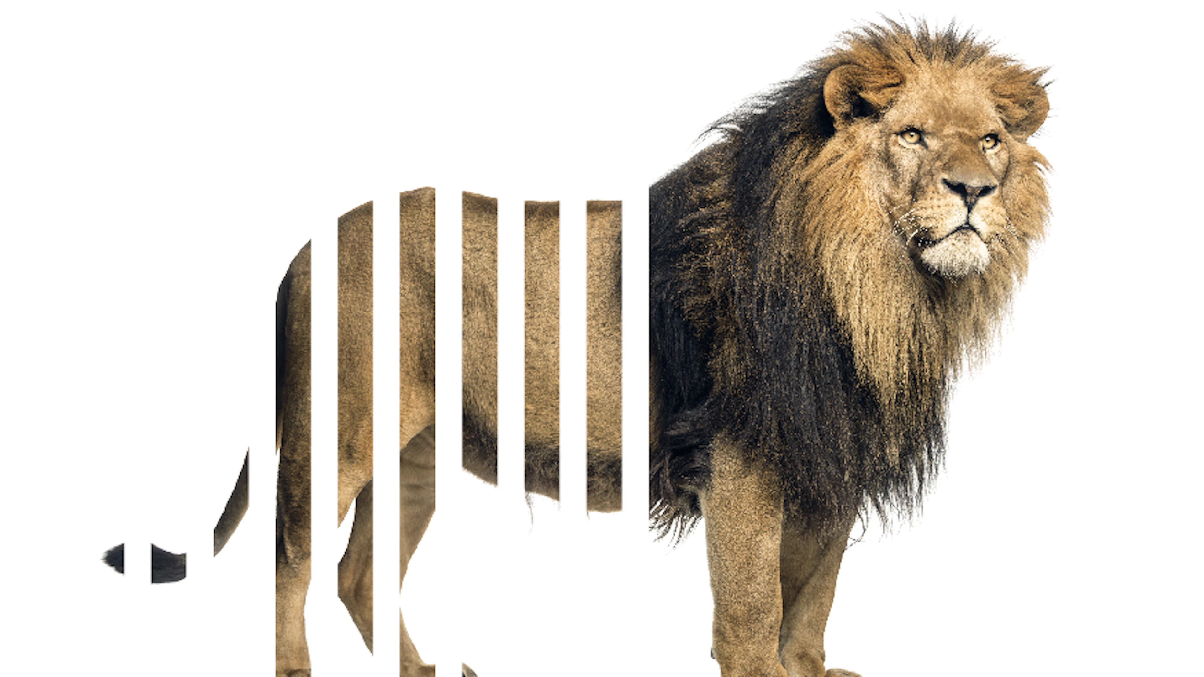 Moet de zoo dicht?