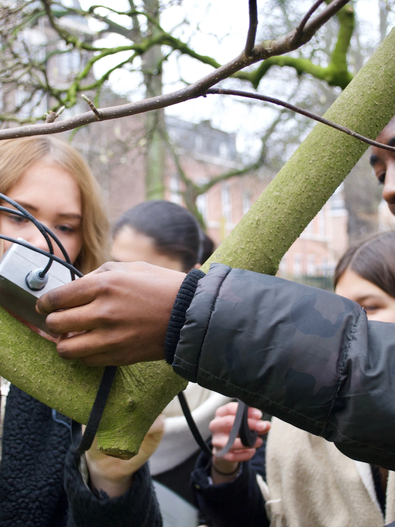 Scholieren onderzoeken effect klimaatverandering