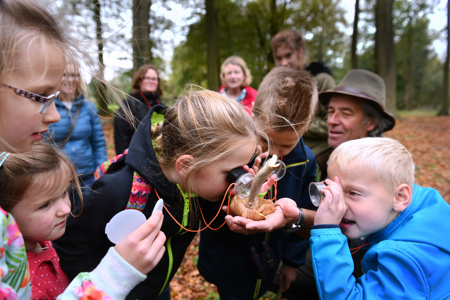 Groen is goed voor psychische gezondheid