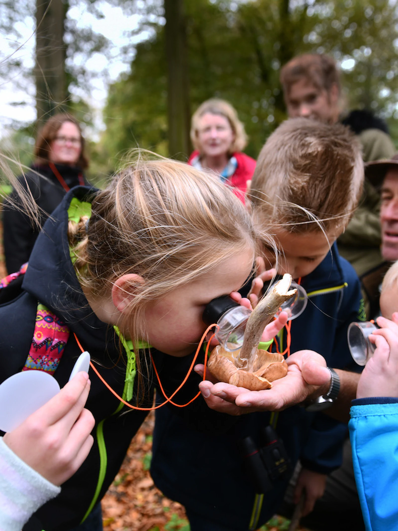 Groen is goed voor psychische gezondheid