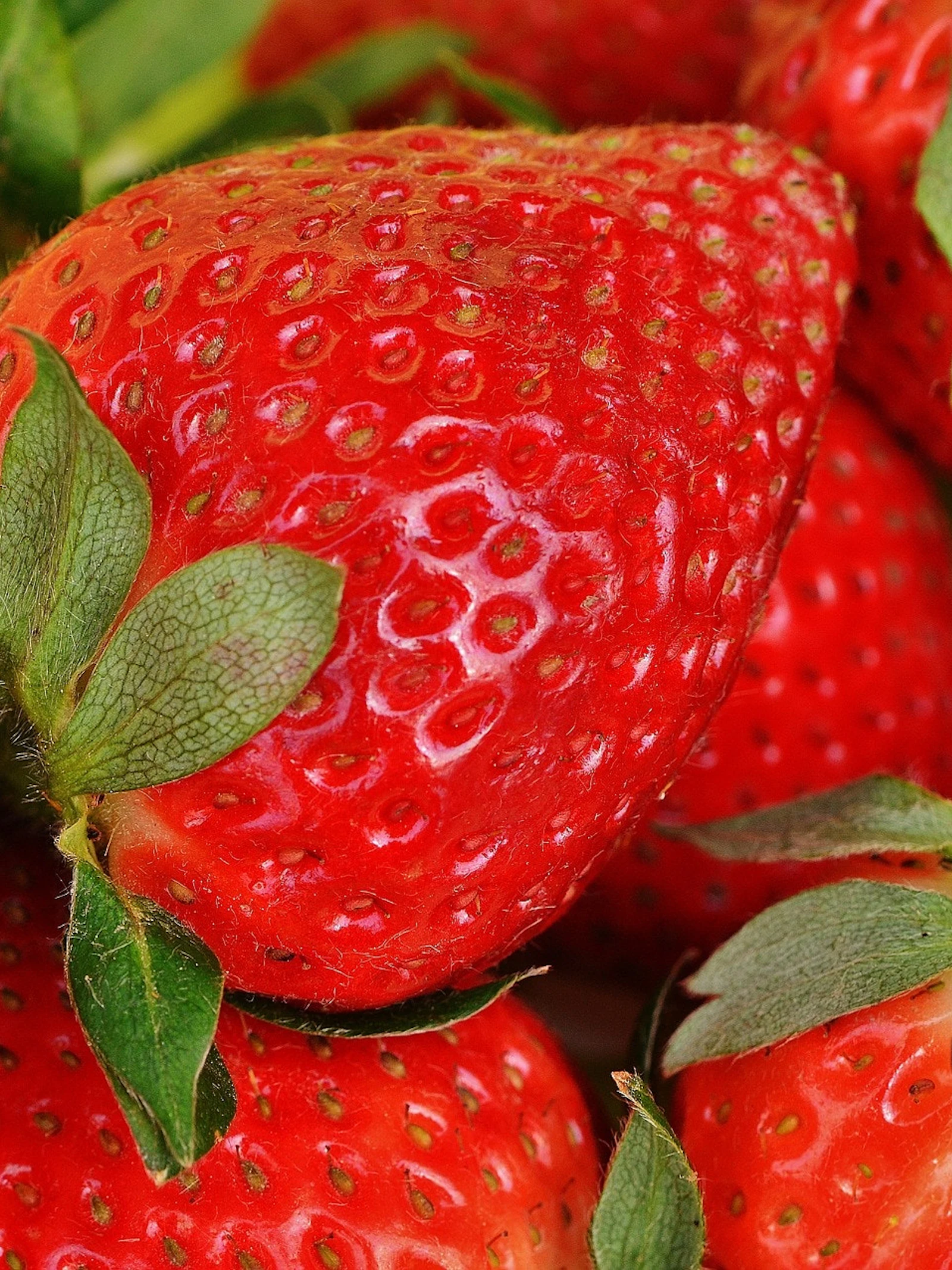 Aardbeien en citroenen geven hun geheimen prijs
