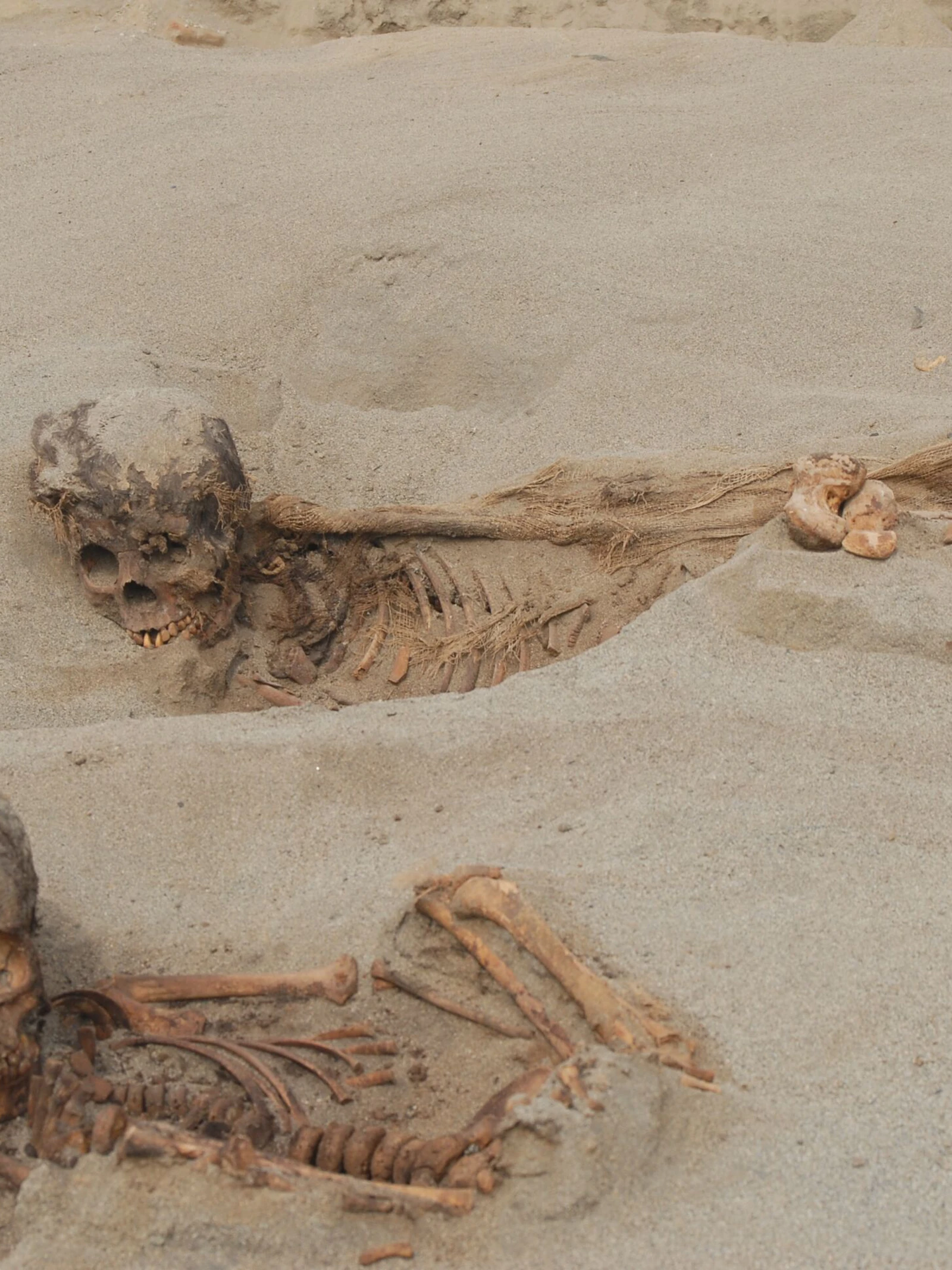 Archeologen leggen kindermassagraf bloot in Peru