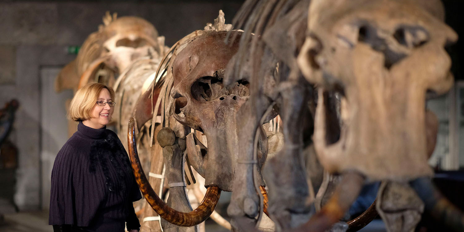 Moderne mens dwong mammoet en neanderthaler richting afgrond