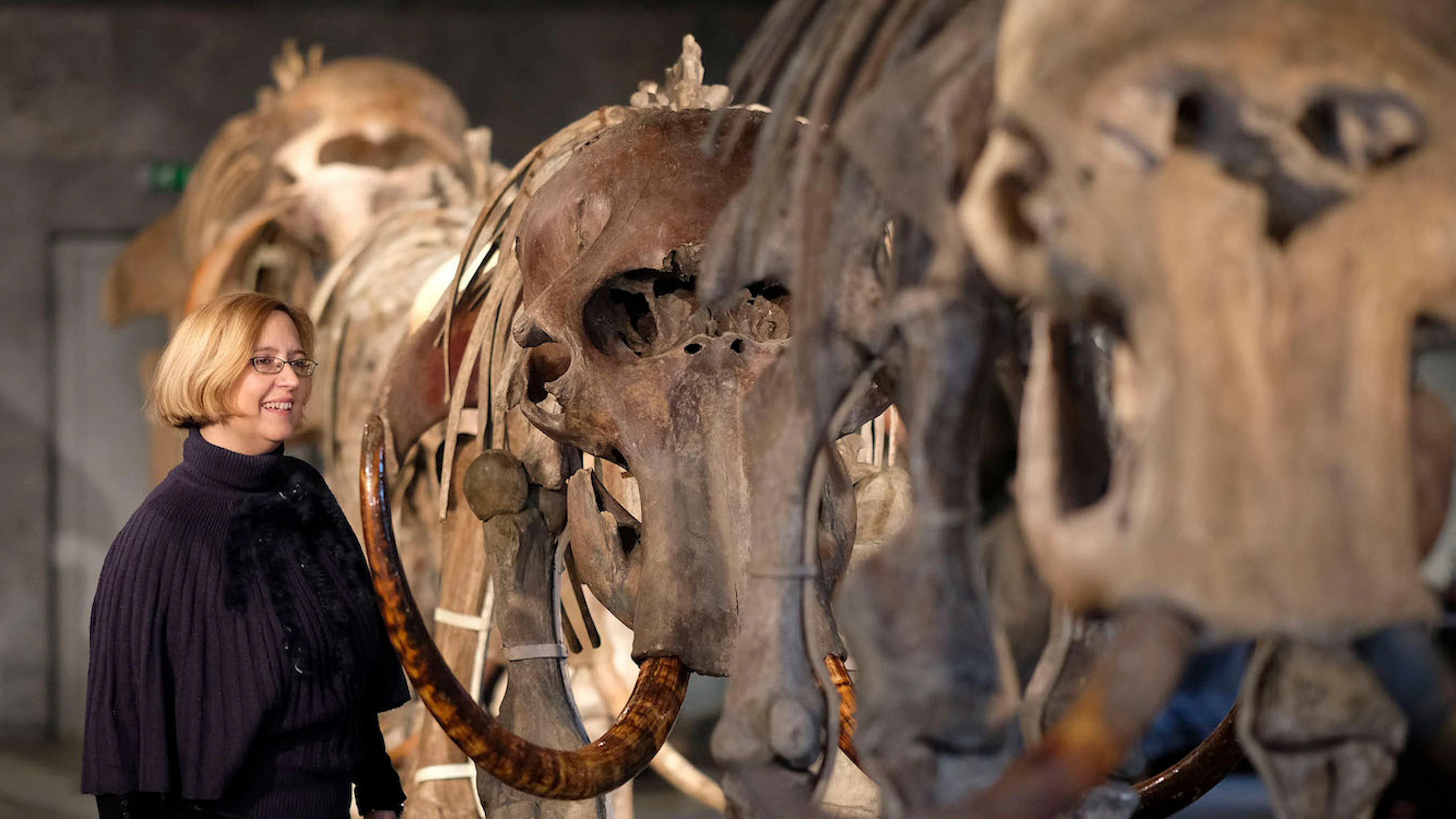 Moderne mens dwong mammoet en neanderthaler richting afgrond