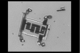 Microrobot kan via injectienaald in de bloedbaan gebracht worden