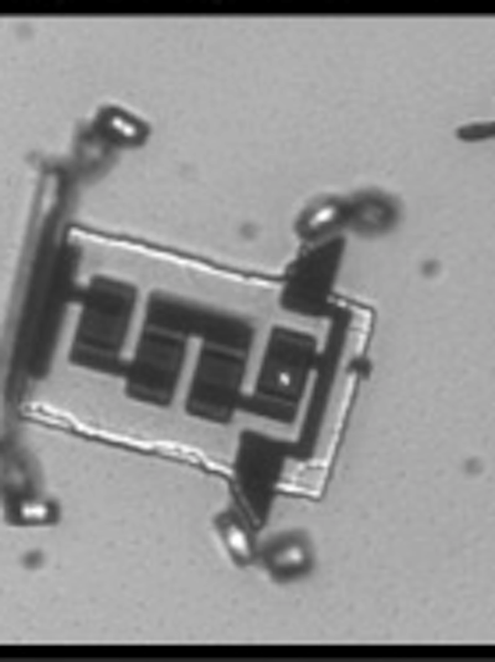 Microrobot kan via injectienaald in de bloedbaan gebracht worden
