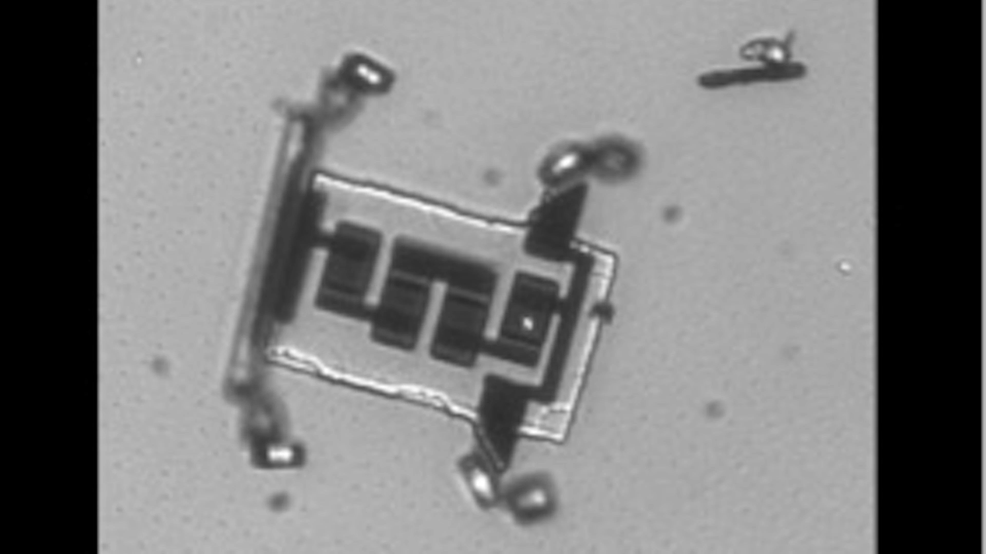 Microrobot kan via injectienaald in de bloedbaan gebracht worden