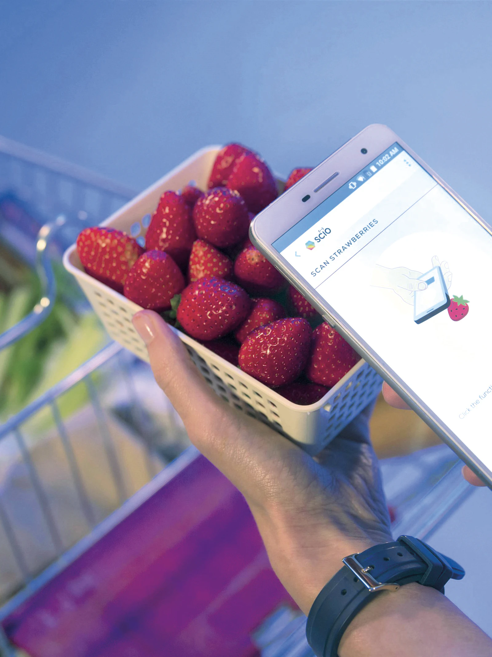 Vers of niet? Je smartphone weet het