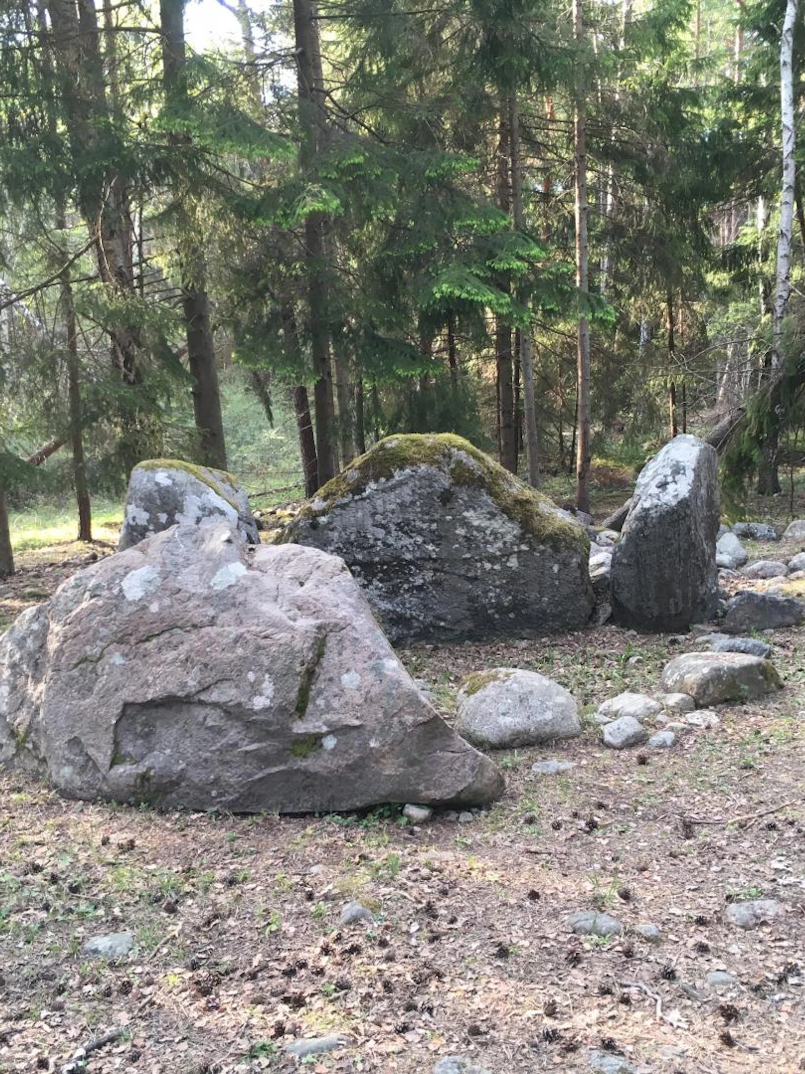 Vroege hunebedden waren familiegraven