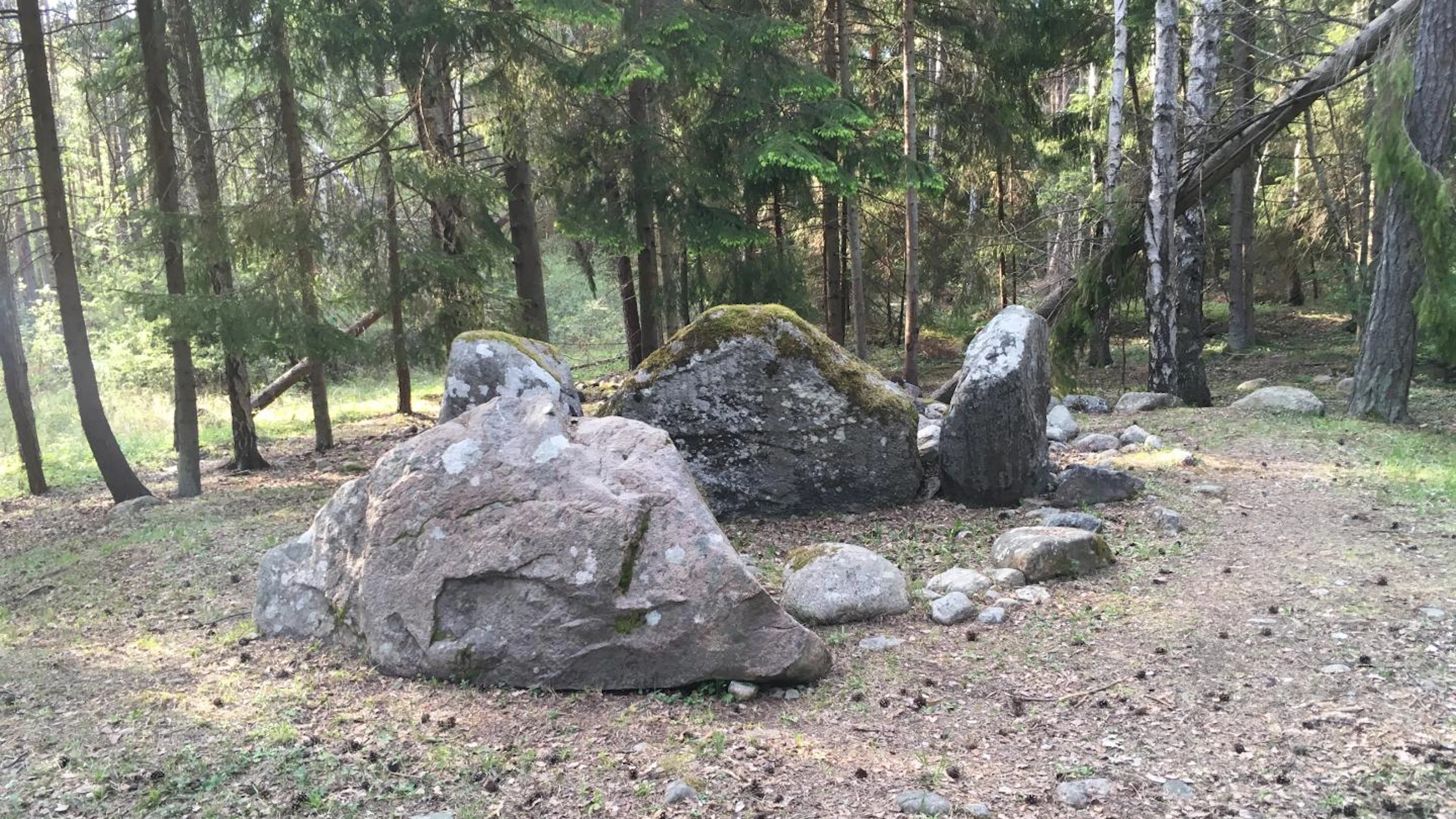 Vroege hunebedden waren familiegraven