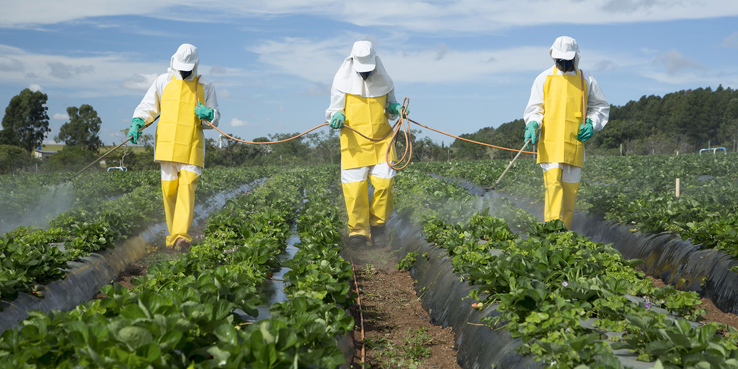 Verhogen pesticiden risico op autisme?